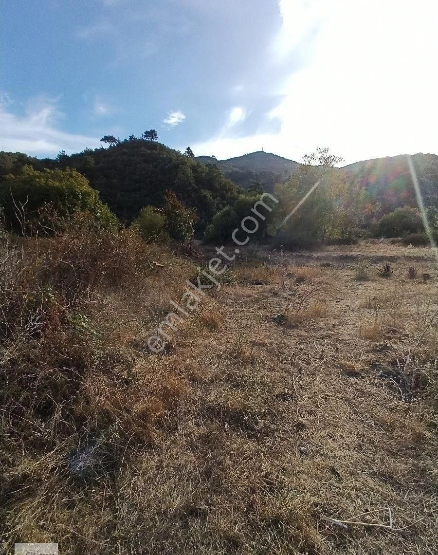 Burhaniye Karadere Yolunda Satılık Bahçe - Görsel 26