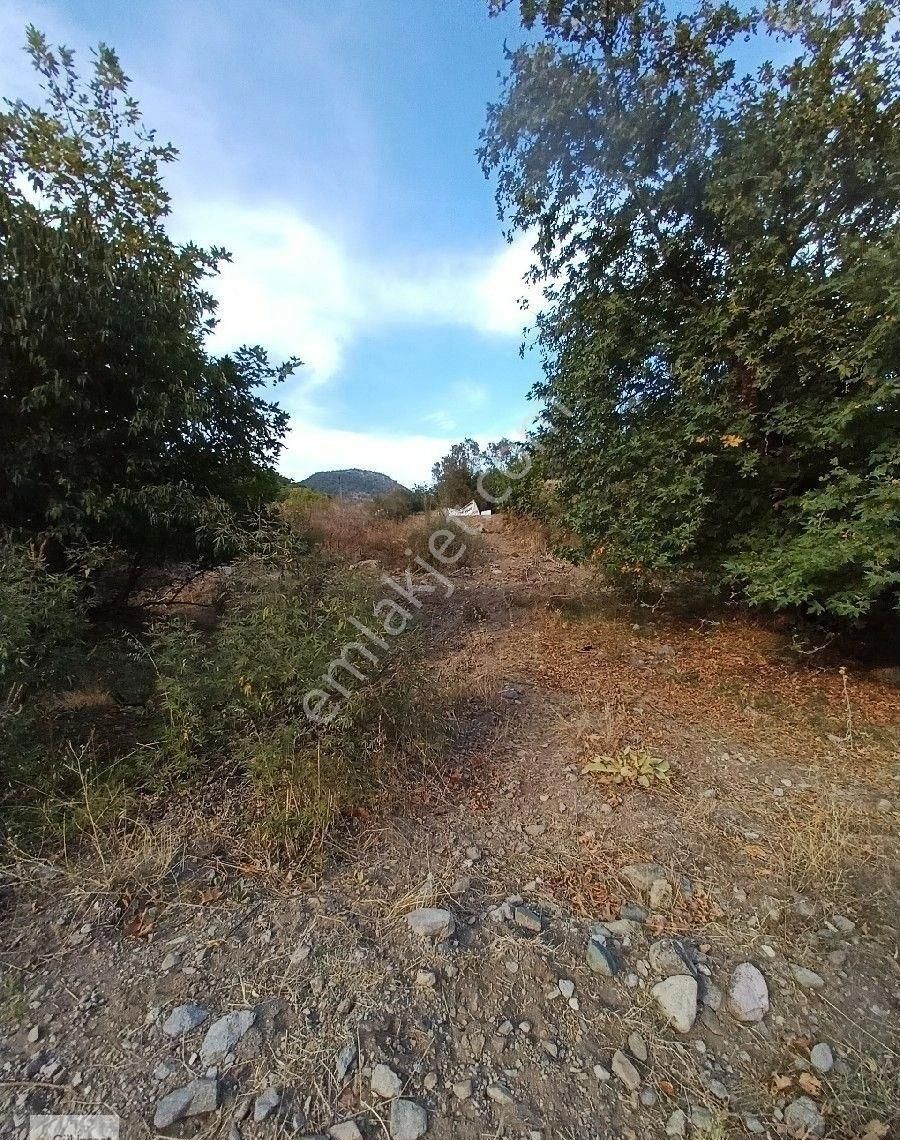 Burhaniye Karadere Yolunda Satılık Bahçe - Görsel 11