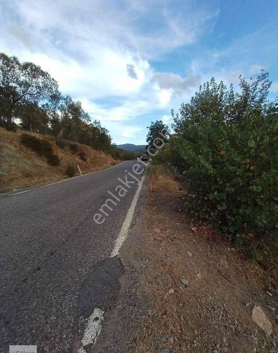 Burhaniye Karadere Yolunda Satılık Bahçe - Görsel 35