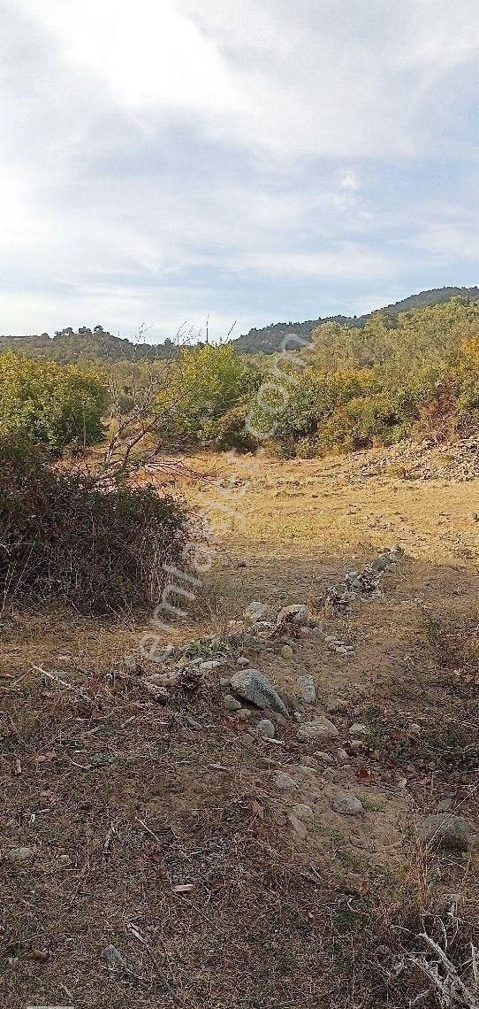 Burhaniye Karadere Yolunda Satılık Bahçe - Görsel 27