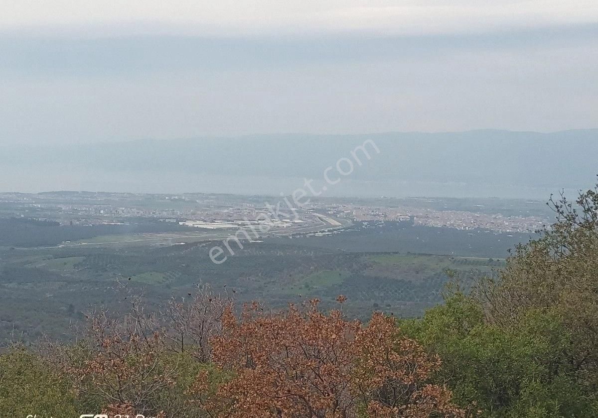 Burhaniye Kuyucak Mahallesi'nde Satılık Tarla - Görsel 16