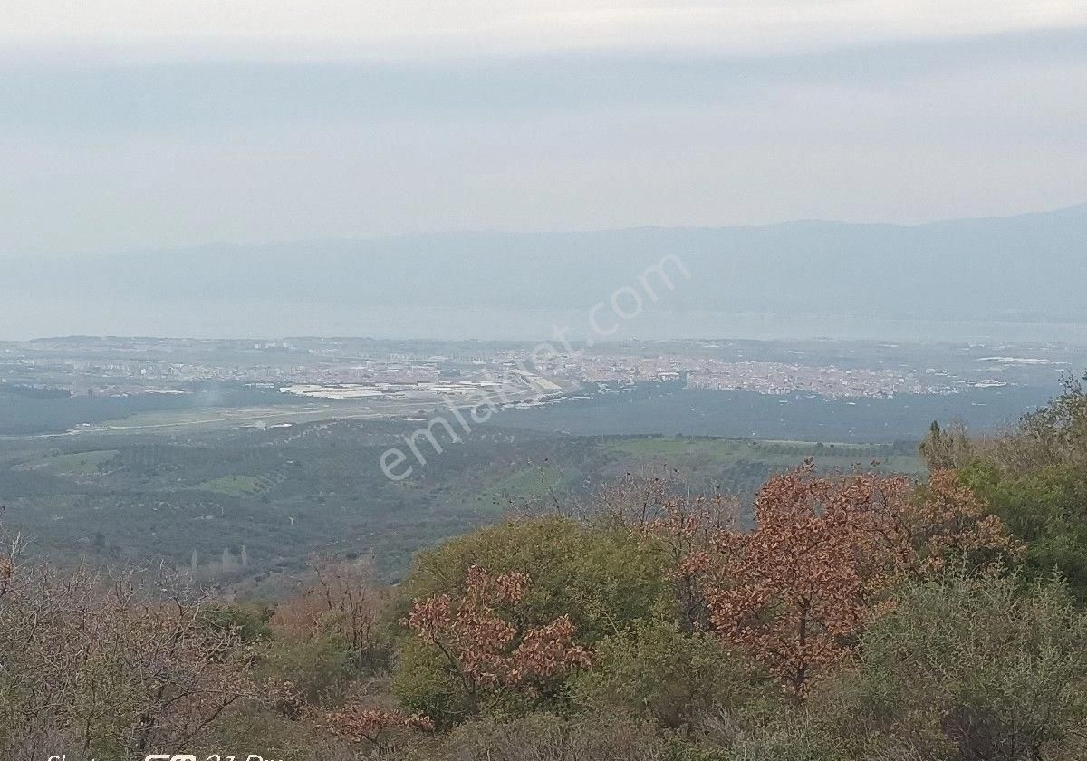 Burhaniye Kuyucak Mahallesi'nde Satılık Tarla