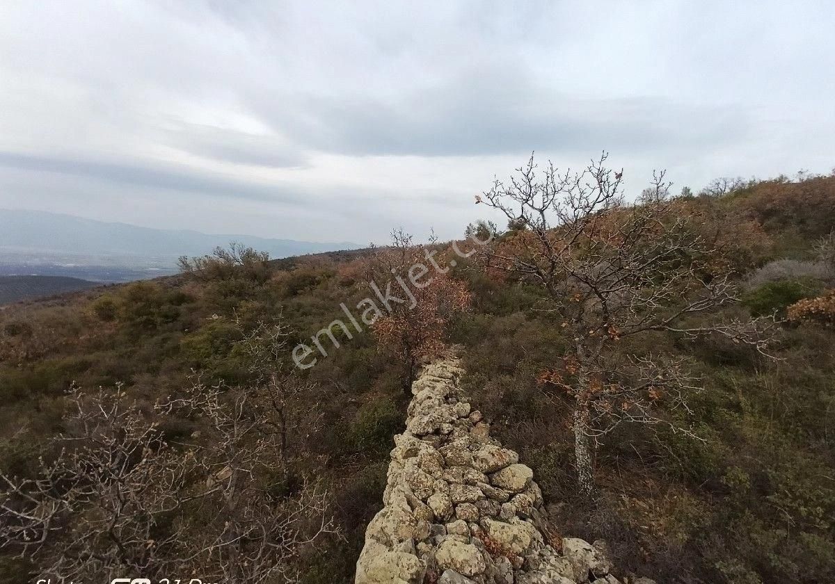 Burhaniye Kuyucak Mahallesi'nde Satılık Tarla - Görsel 8