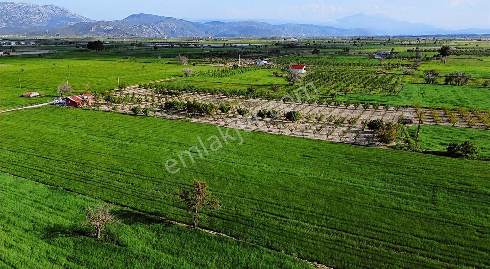 Korkuteli Küçükköy Mahallesinende Naldöken Yolu Kenarı 9722 M2 - Görsel 6