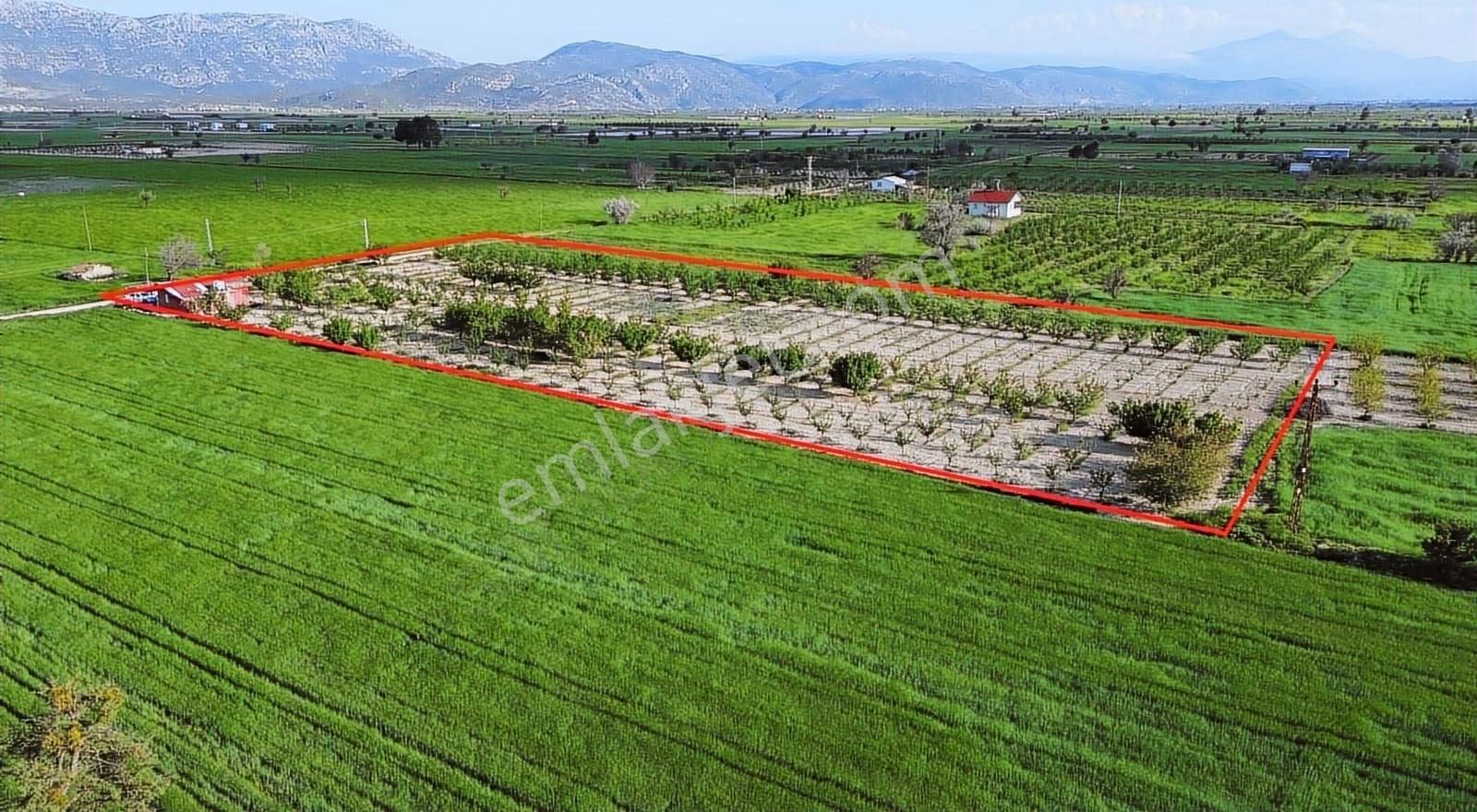 Korkuteli Küçükköy Mahallesinende Naldöken Yolu Kenarı 9722 M2 - Görsel 9