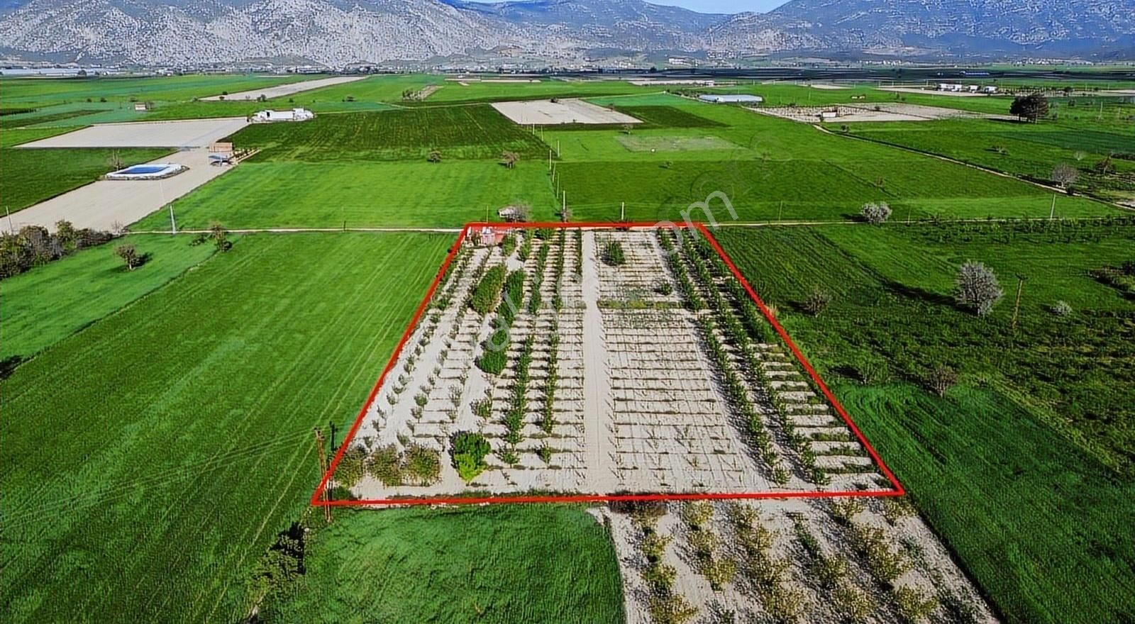 Korkuteli Küçükköy Mahallesinende Naldöken Yolu Kenarı 9722 M2 - Görsel 8