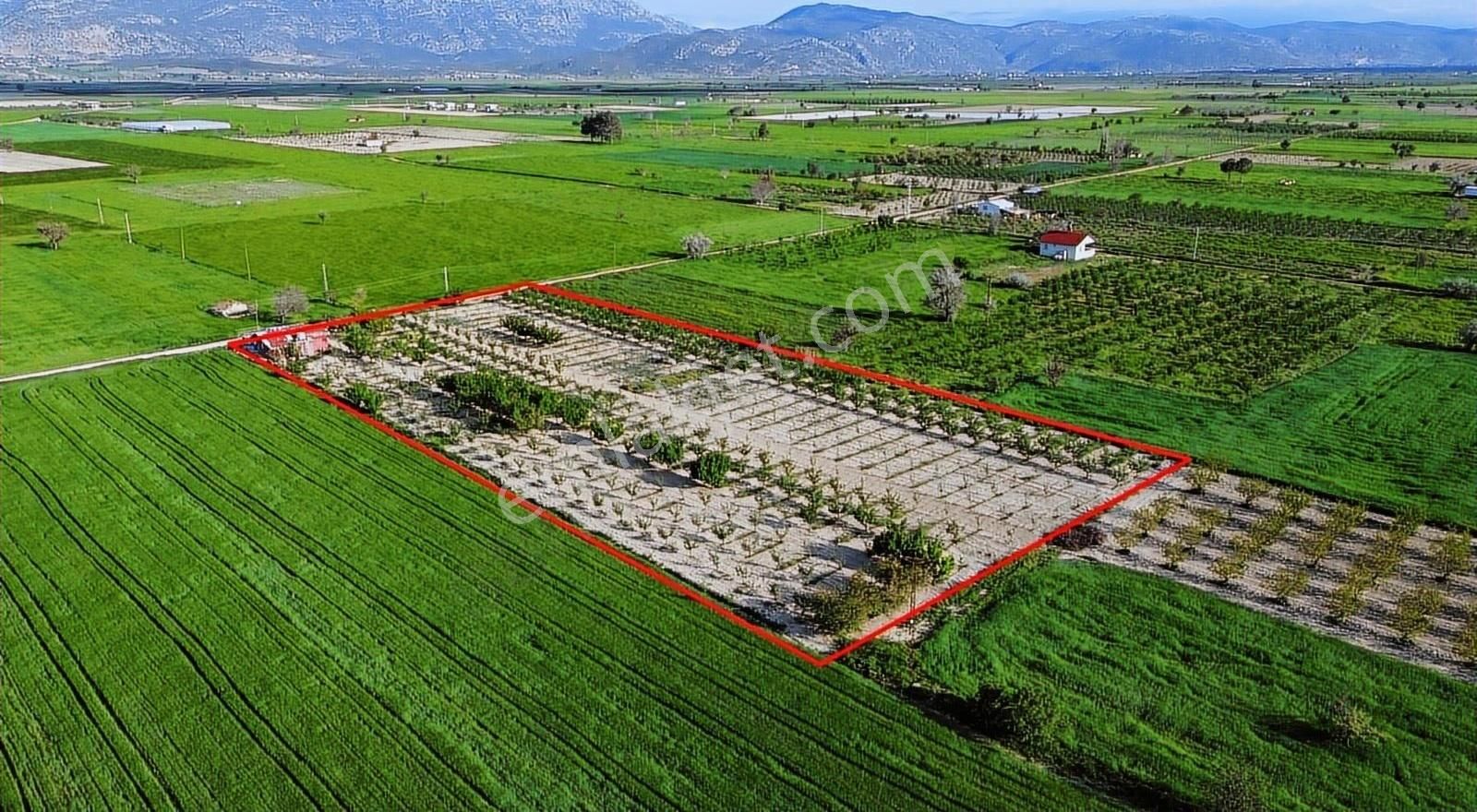 Korkuteli Küçükköy Mahallesinende Naldöken Yolu Kenarı 9722 M2 - Görsel 5