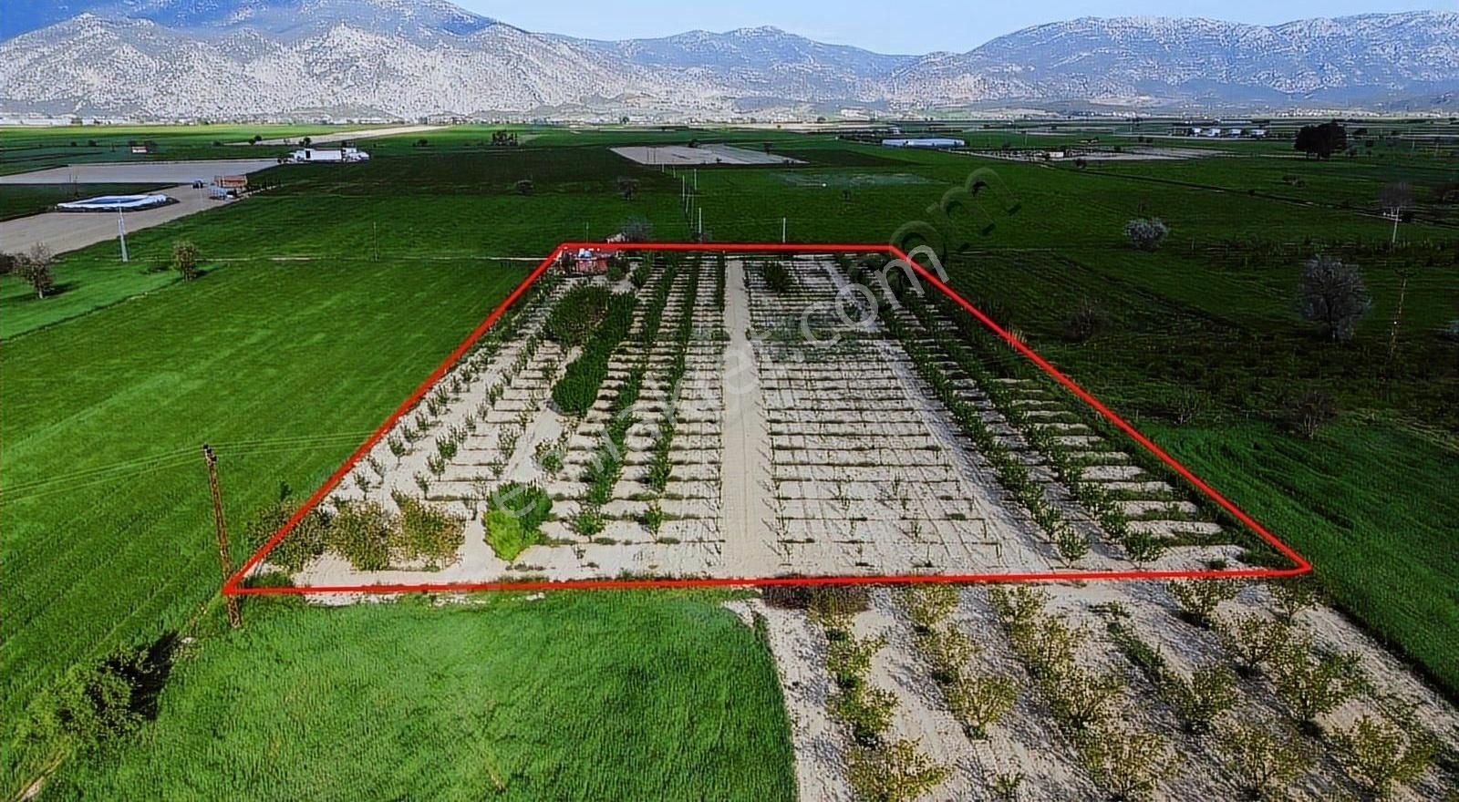 Korkuteli Küçükköy Mahallesinende Naldöken Yolu Kenarı 9722 M2 - Görsel 10