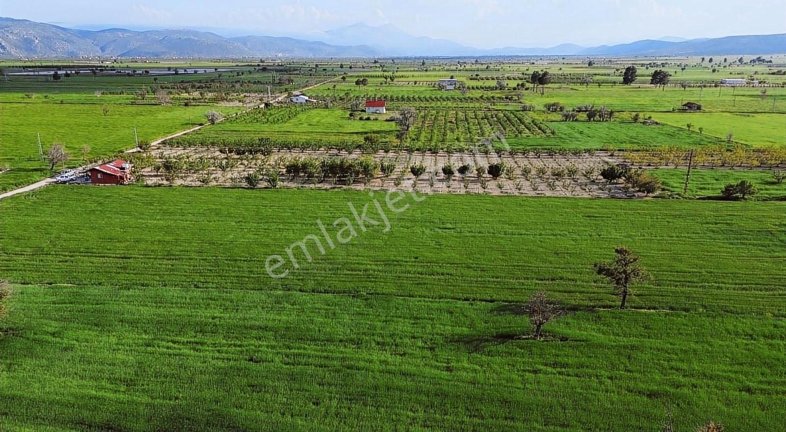 Korkuteli Küçükköy Mahallesinende Naldöken Yolu Kenarı 9722 M2 - Görsel 11
