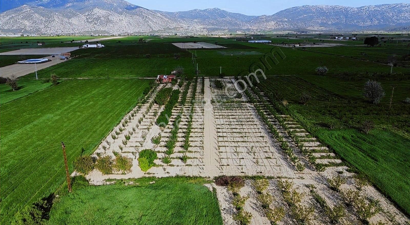 Korkuteli Küçükköy Mahallesinende Naldöken Yolu Kenarı 9722 M2 - Görsel 14