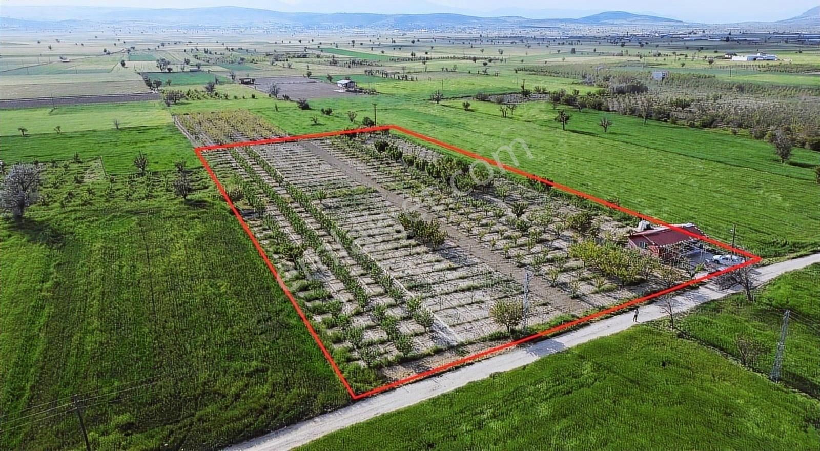 Korkuteli Küçükköy Mahallesinende Naldöken Yolu Kenarı 9722 M2 - Görsel 3