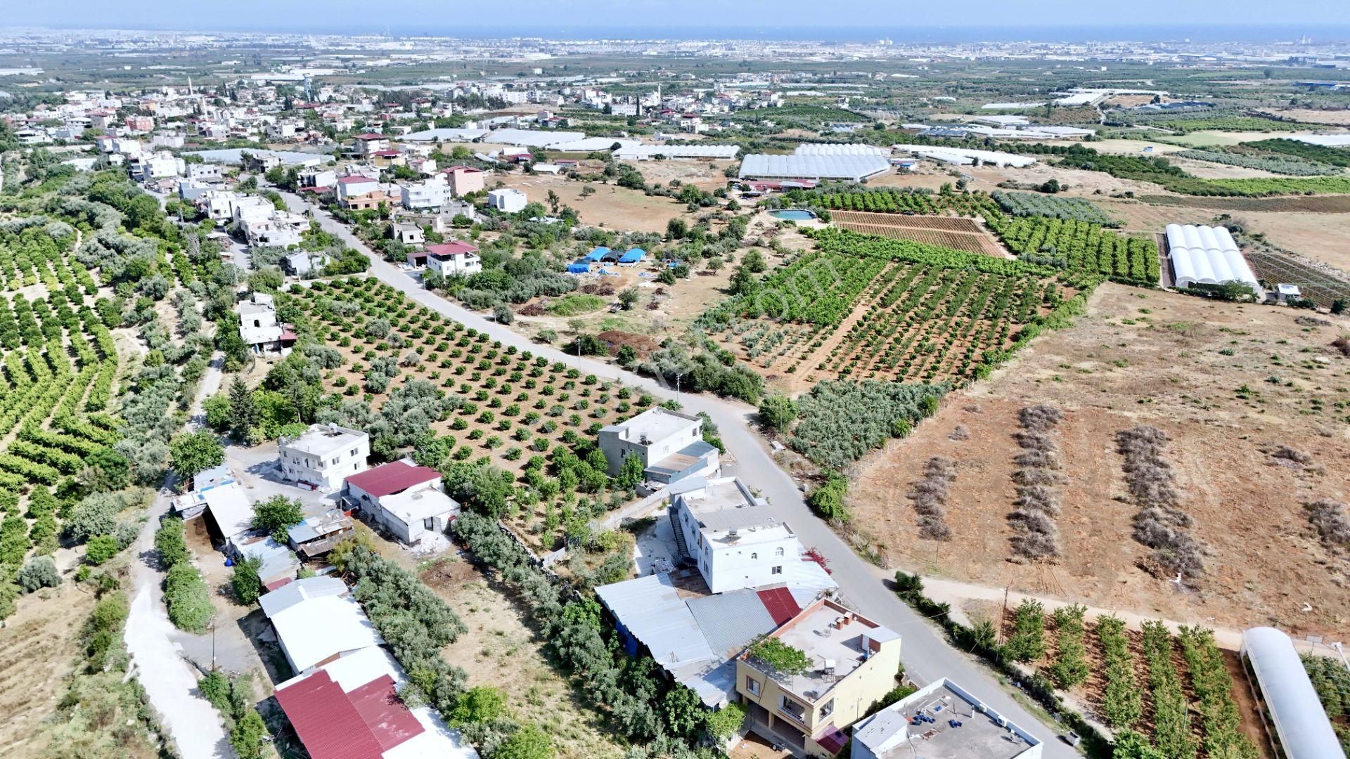 Akdeniz Civanyaylağı Mahallesinde Satılık Ahır Ev Ve Arsası - Görsel 6