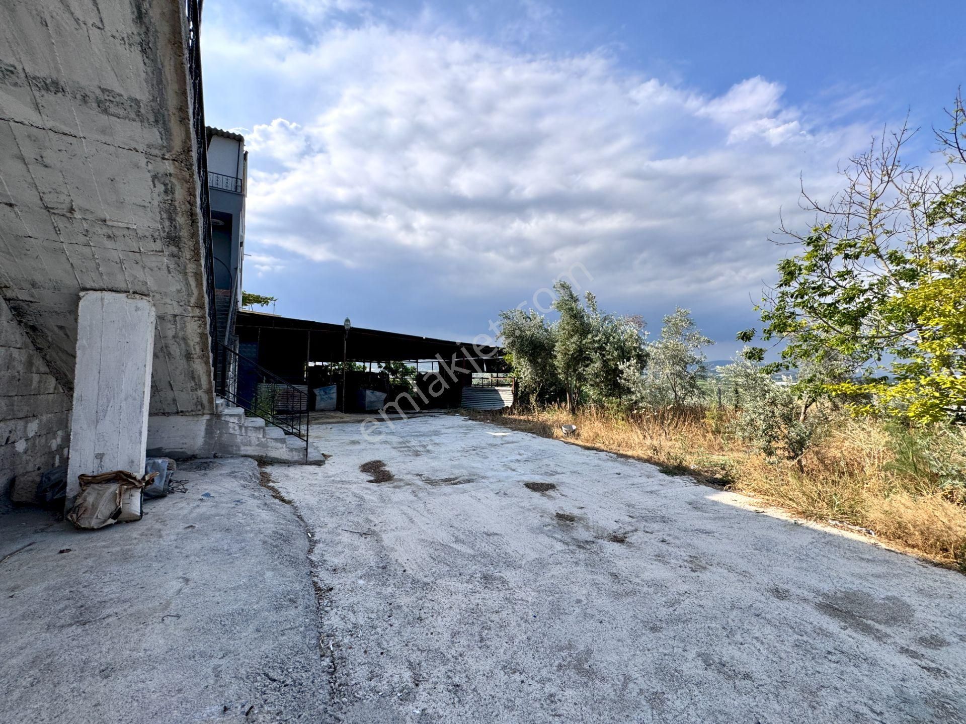 Akdeniz Civanyaylağı Mahallesinde Satılık Ahır Ev Ve Arsası - Görsel 14