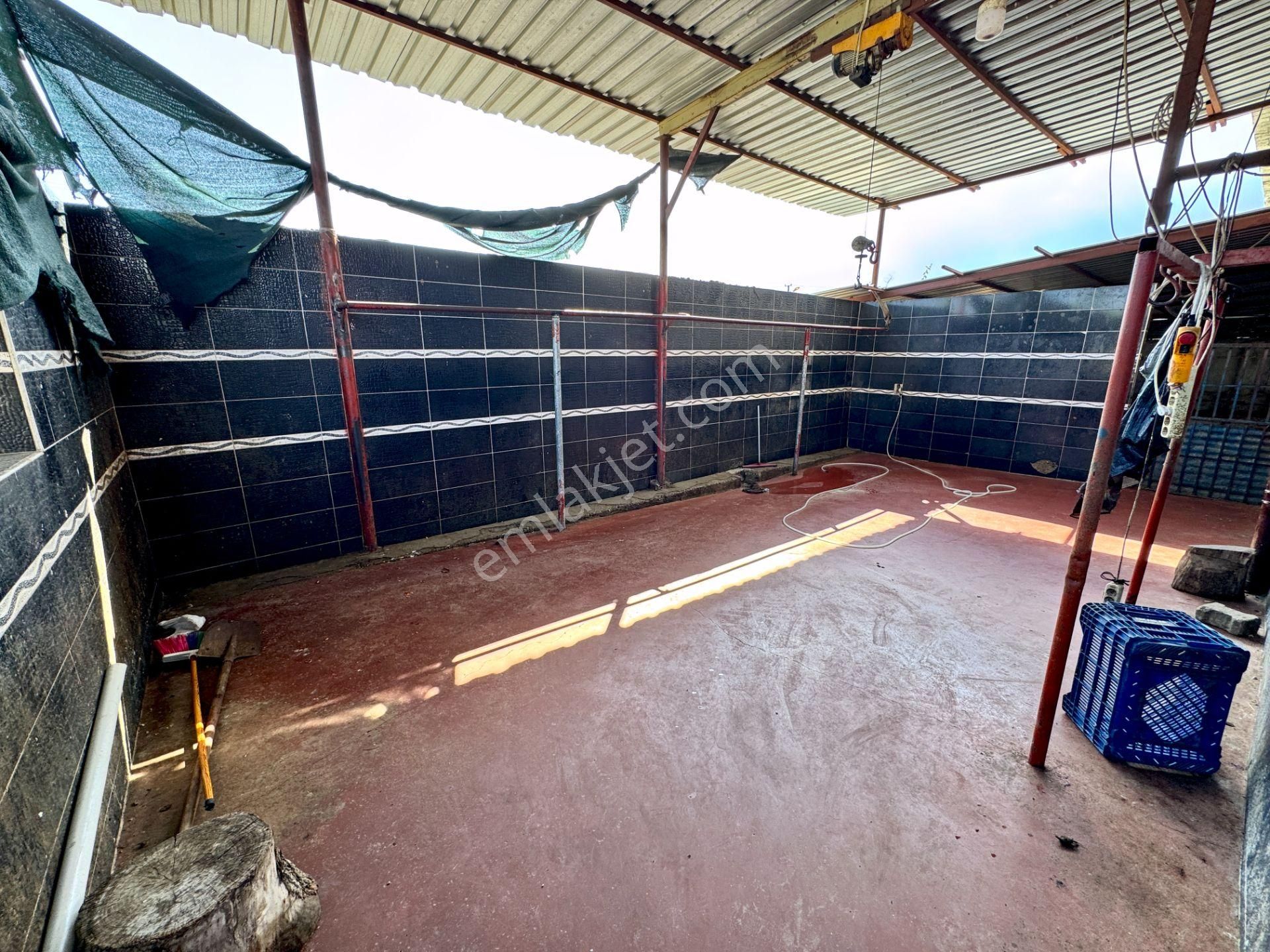 Akdeniz Civanyaylağı Mahallesinde Satılık Ahır Ev Ve Arsası - Görsel 13