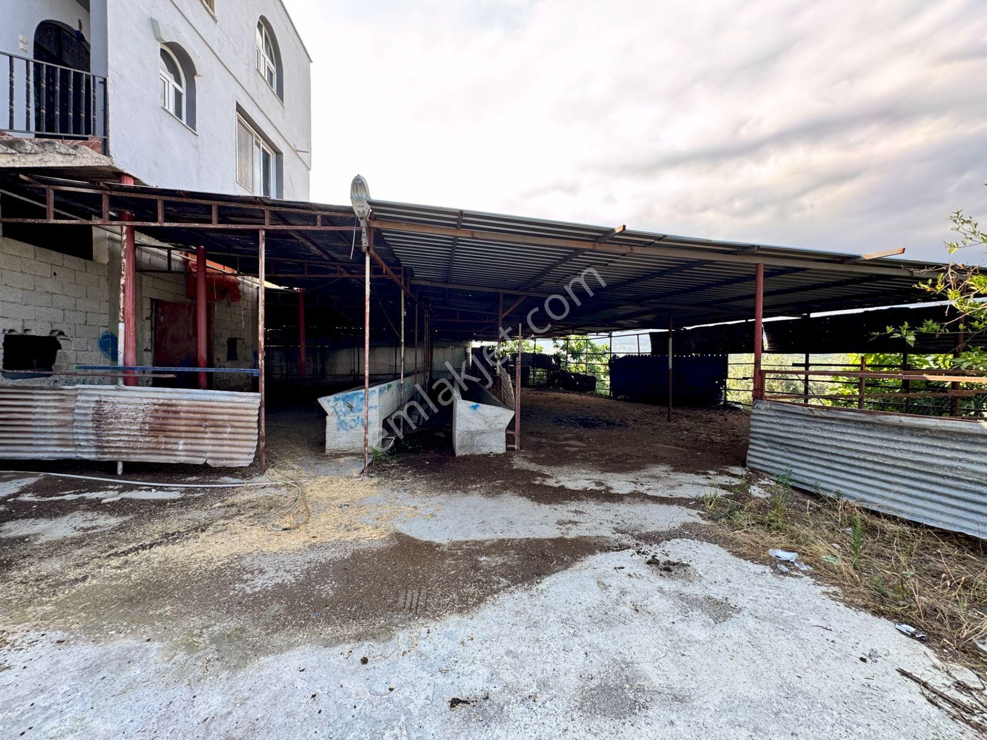 Akdeniz Civanyaylağı Mahallesinde Satılık Ahır Ev Ve Arsası - Görsel 12