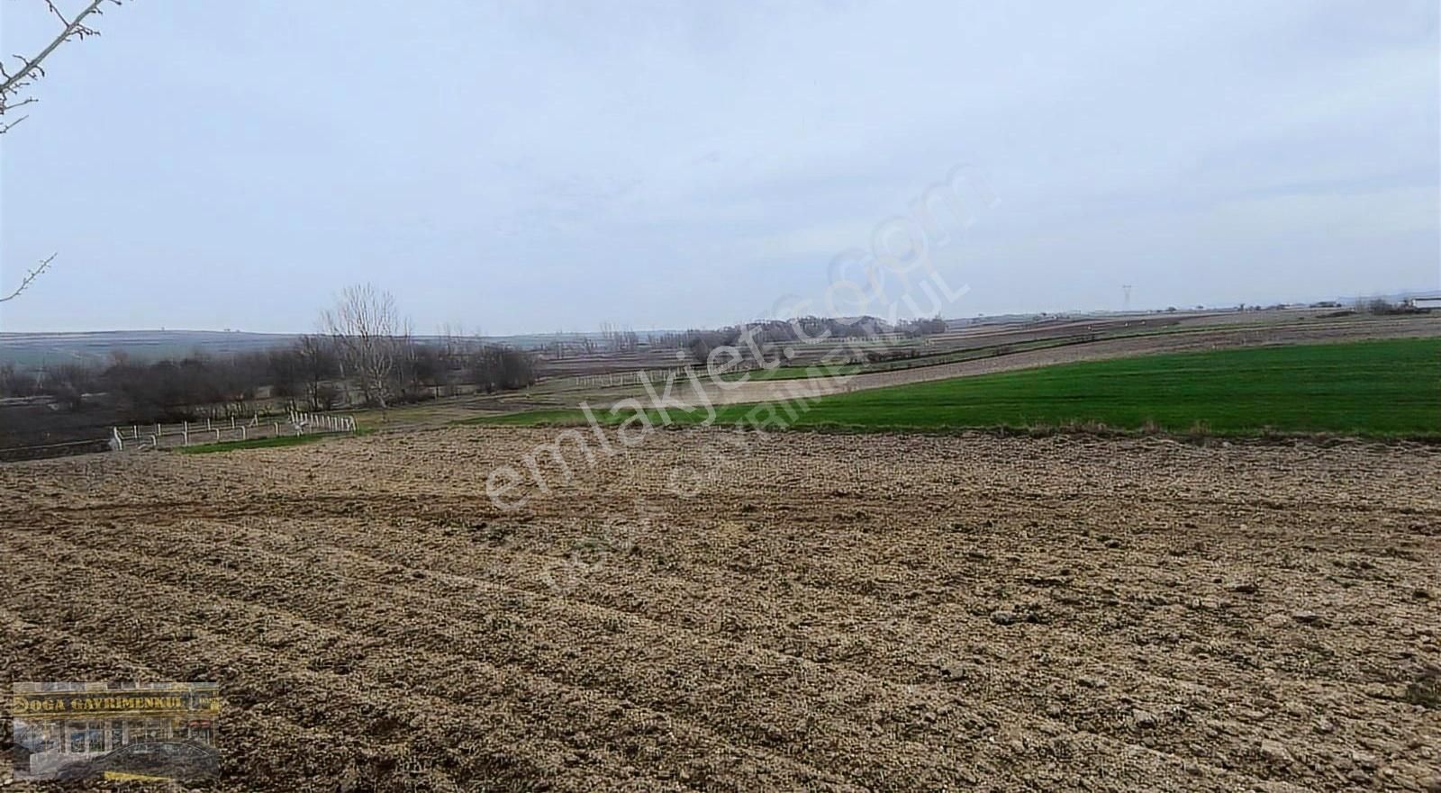 Saray Çayla 7.213 M² Tarla