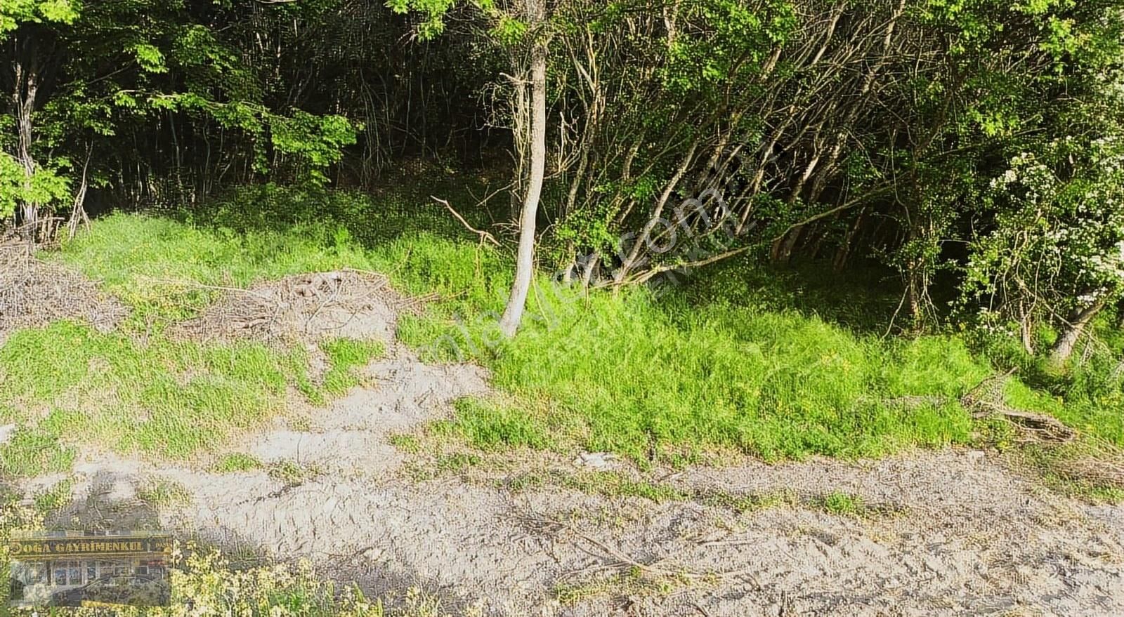 Büyük Çavuşlu 410m² Tek Tapu