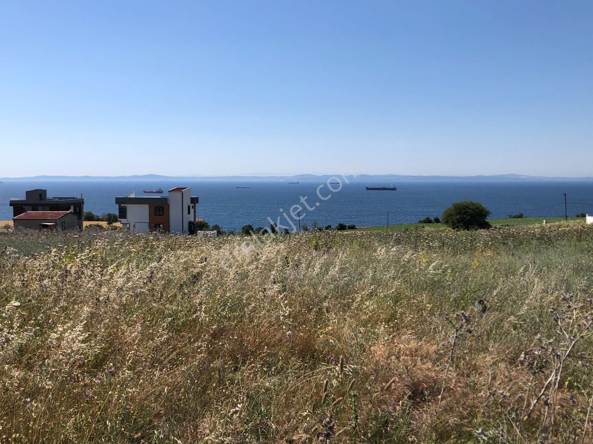 Şarköy De Işık Emlaktan İstiklal Mah De 218 M2 0/25 İmarlı Arsa