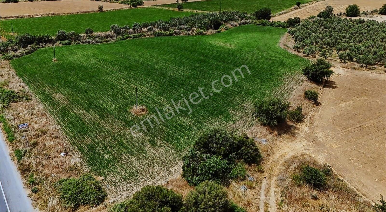 Pek Emlaktan Tire Gökçen Yolu Cepheli 10,860 M2 Satılık Arazi