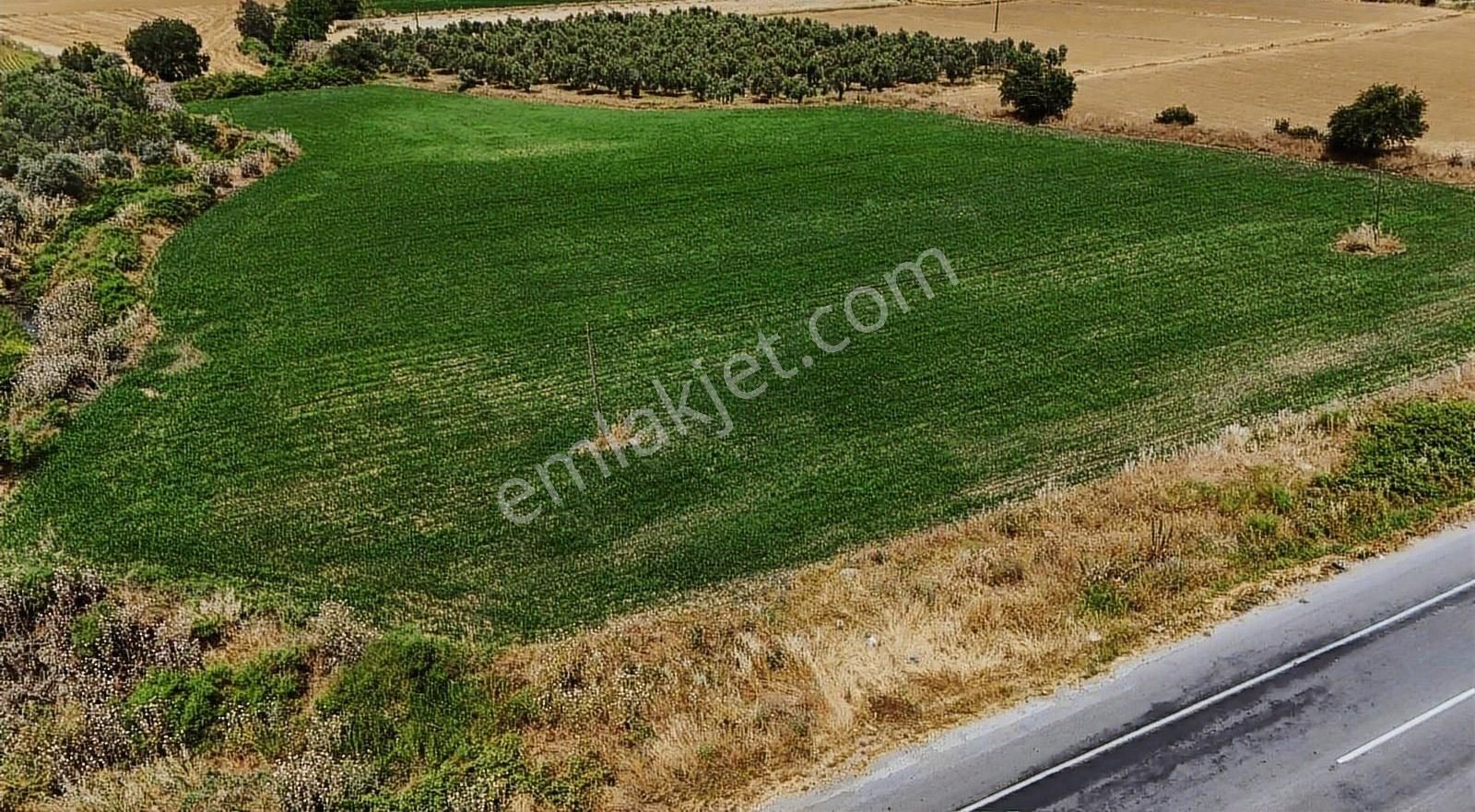 Pek Emlaktan Tire Gökçen Yolu Cepheli 10,860 M2 Satılık Arazi - Görsel 5