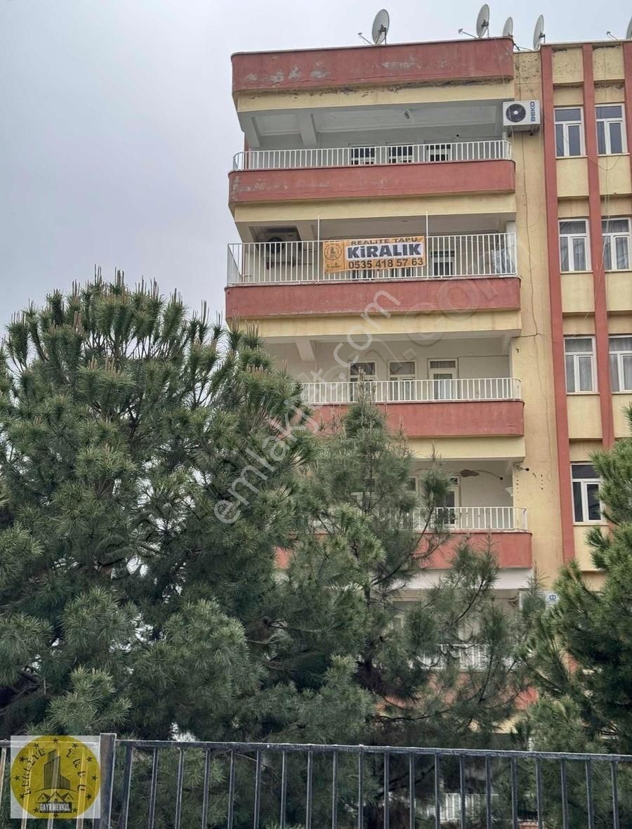 Realite Tapudan Bakımlı 3+1