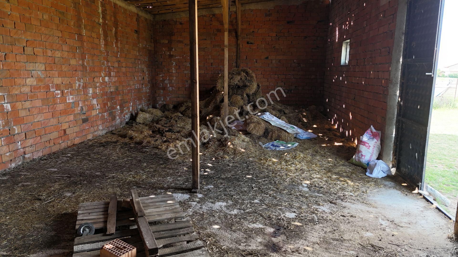 Kırklareli De Hazır Ruhsatlı Çiftlik - Görsel 2