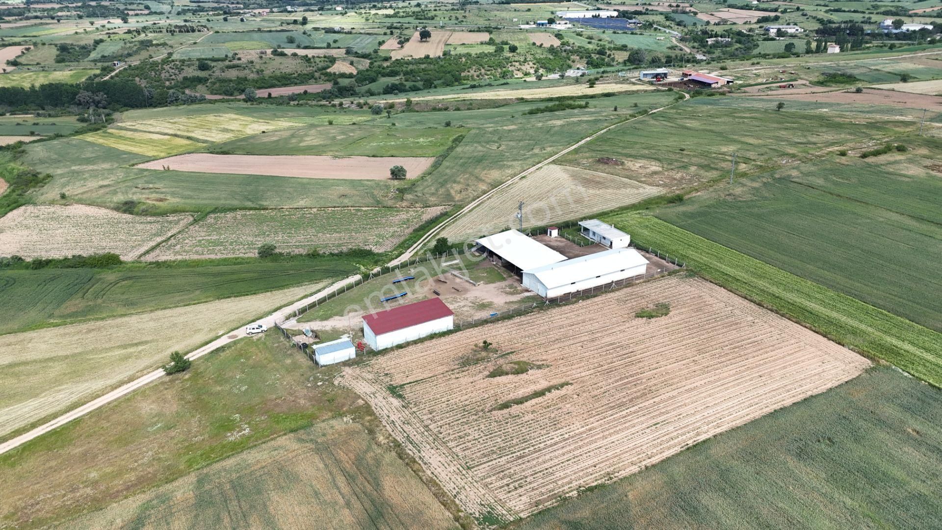 Kırklareli De Hazır Ruhsatlı Çiftlik - Görsel 37