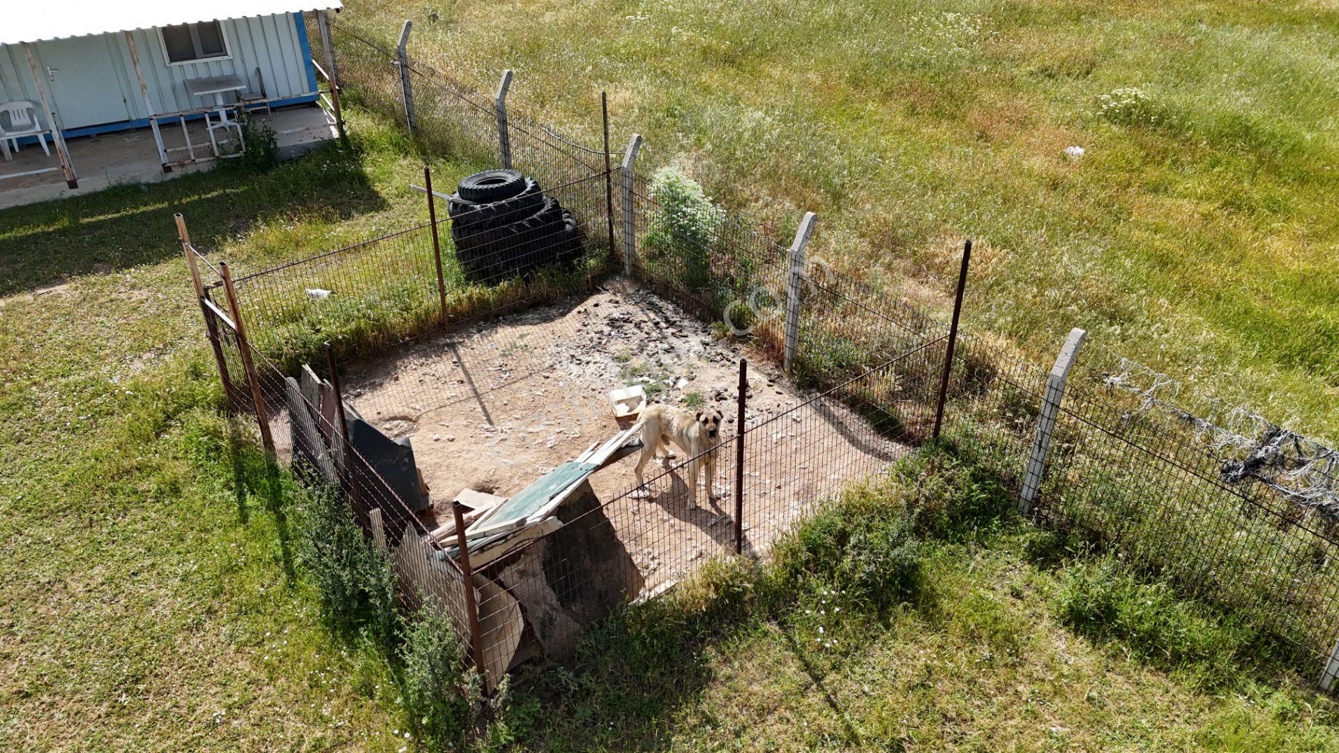 Kırklareli De Hazır Ruhsatlı Çiftlik - Görsel 41