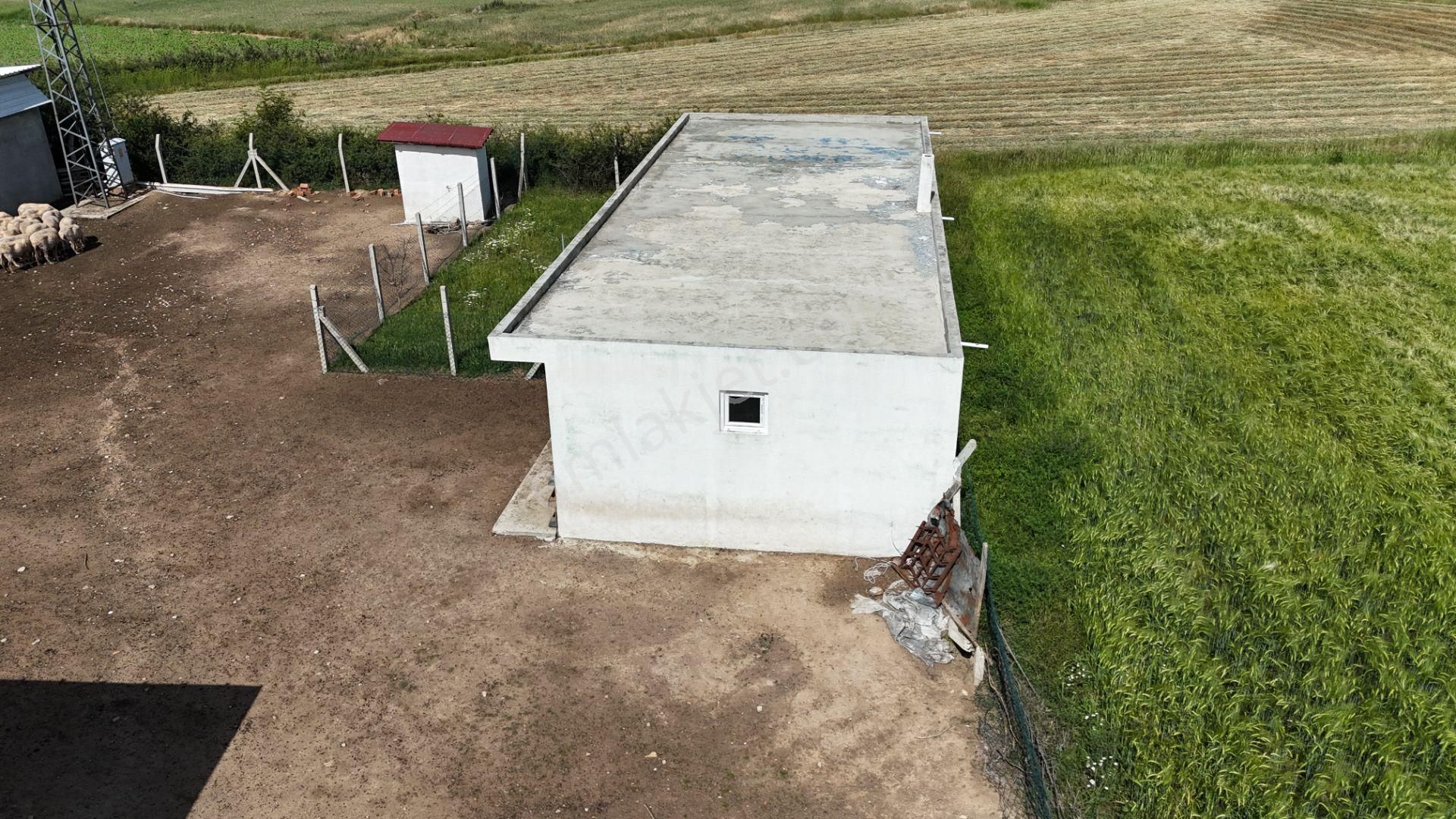 Kırklareli De Hazır Ruhsatlı Çiftlik - Görsel 4