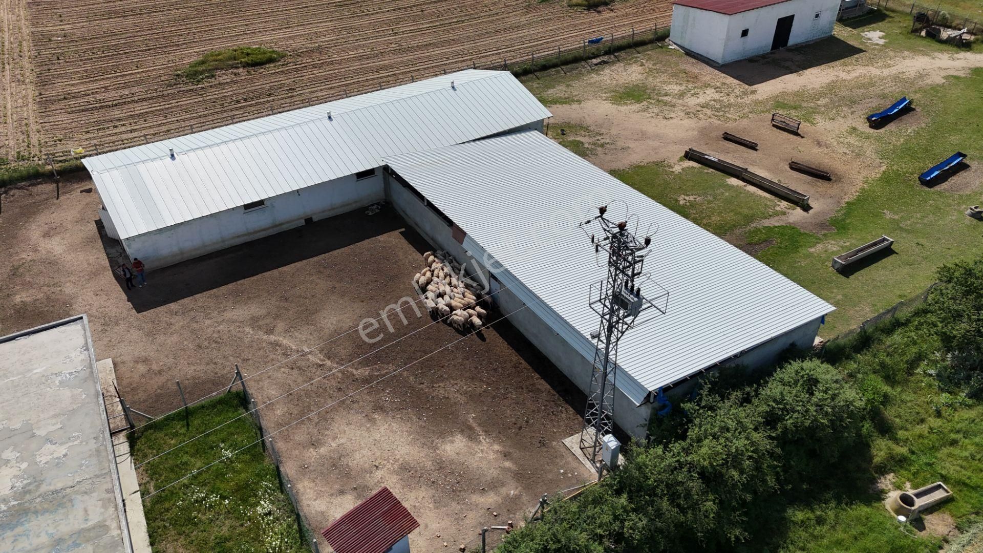 Kırklareli De Hazır Ruhsatlı Çiftlik - Görsel 27