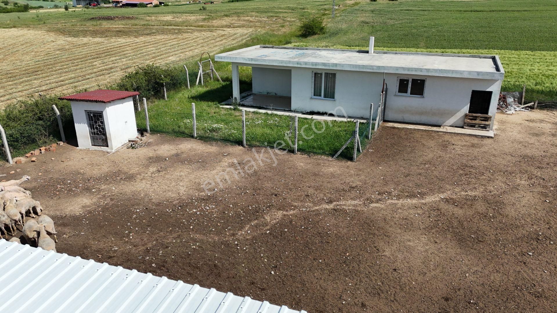 Kırklareli De Hazır Ruhsatlı Çiftlik - Görsel 11