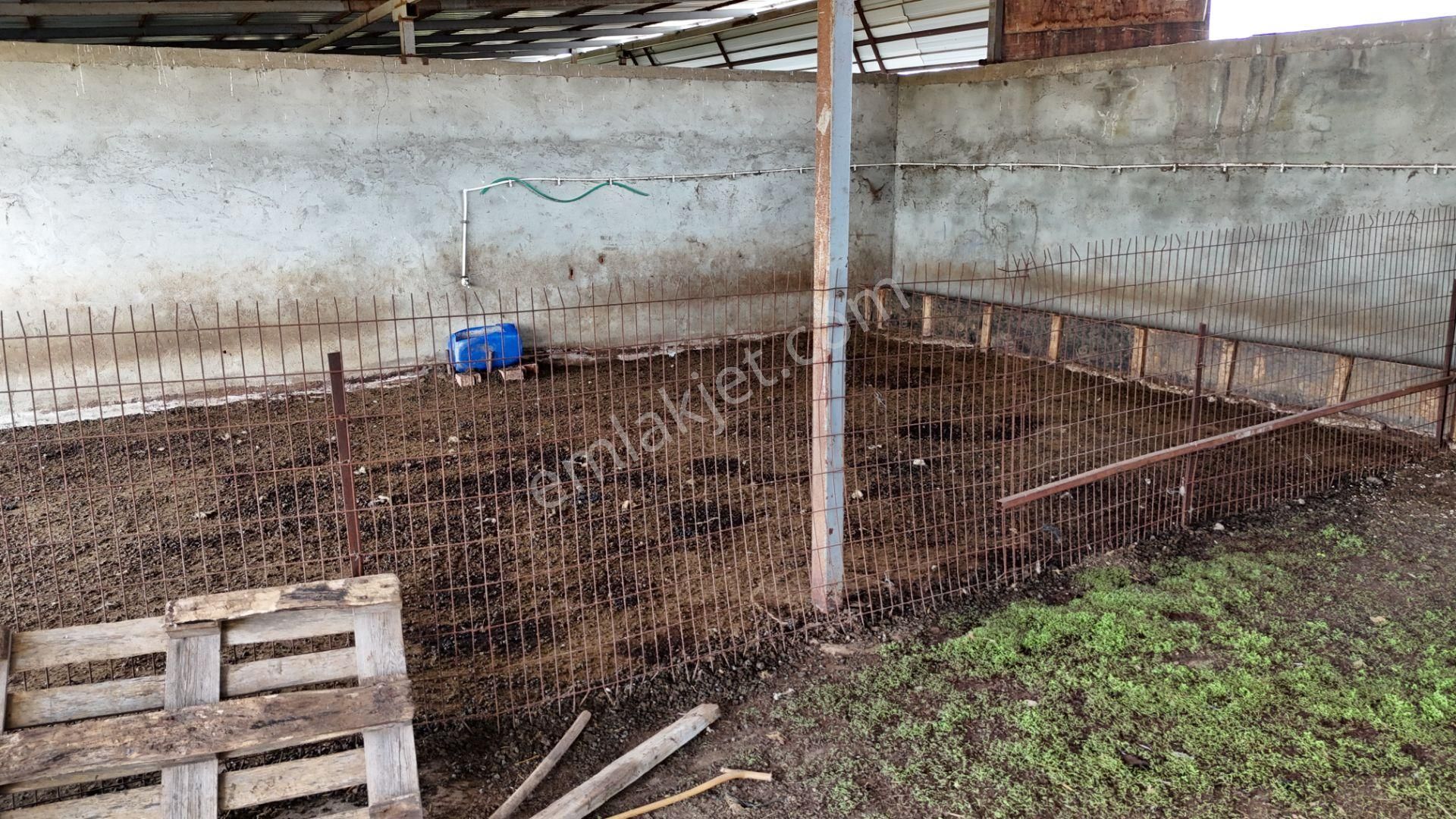 Kırklareli De Hazır Ruhsatlı Çiftlik - Görsel 10