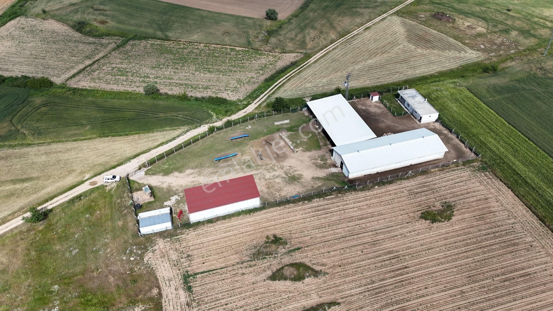 Kırklareli De Hazır Ruhsatlı Çiftlik - Görsel 28