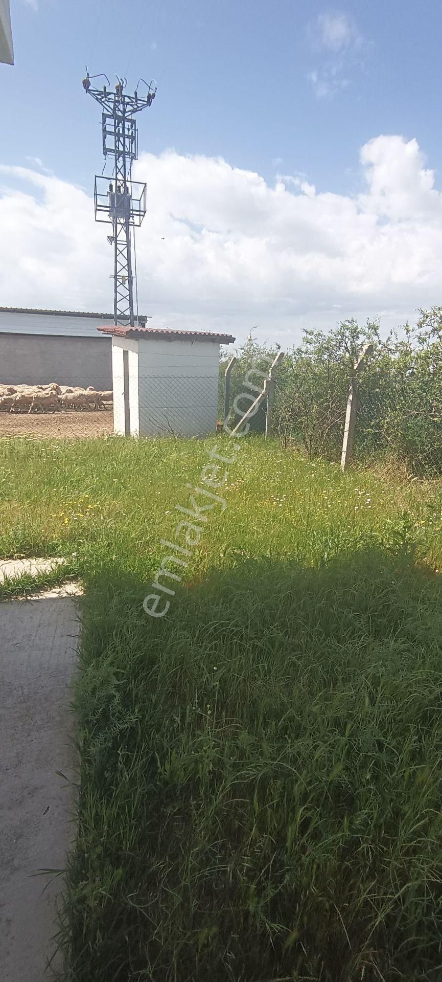 Kırklareli De Hazır Ruhsatlı Çiftlik - Görsel 26