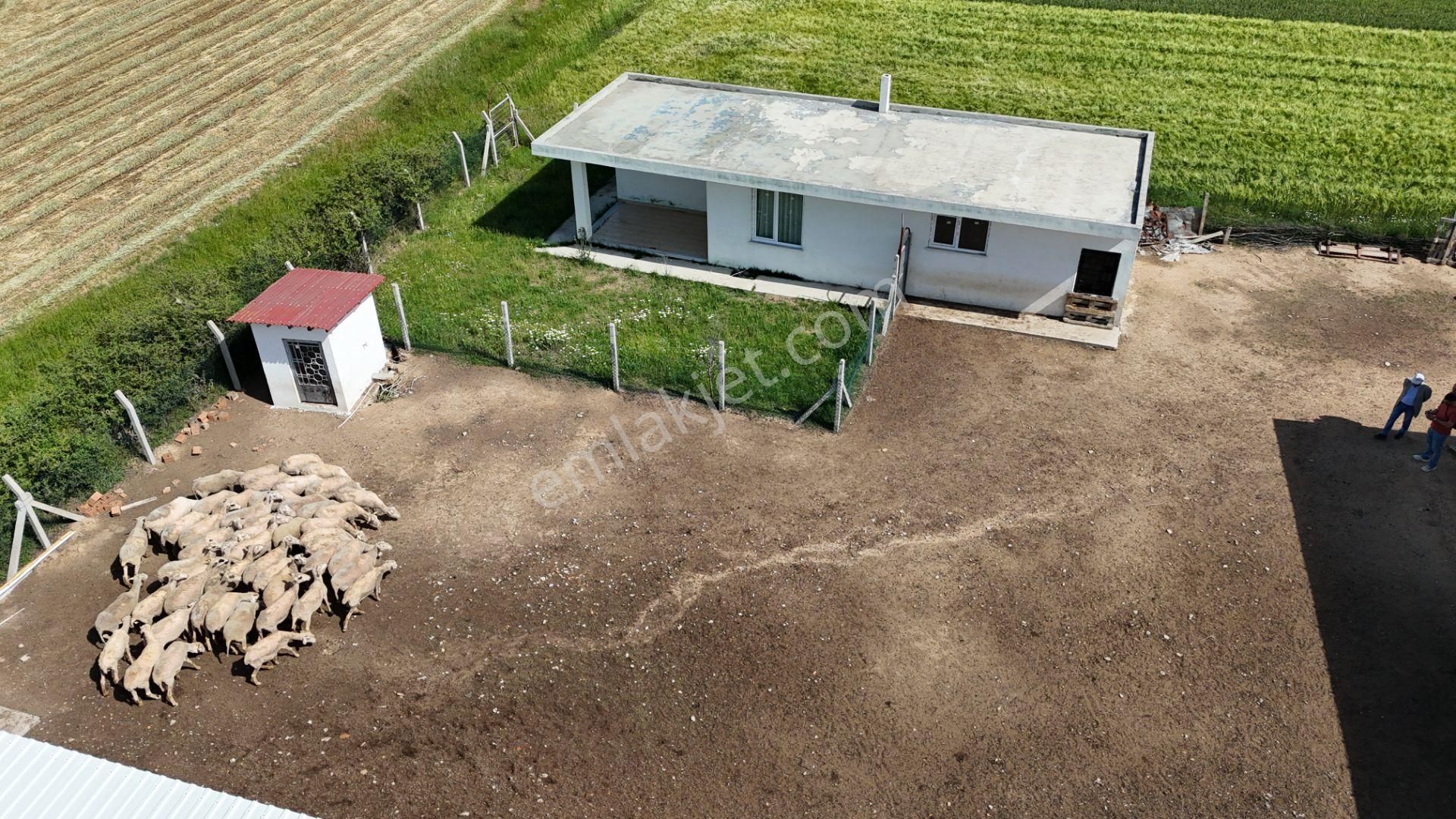 Kırklareli De Hazır Ruhsatlı Çiftlik - Görsel 22