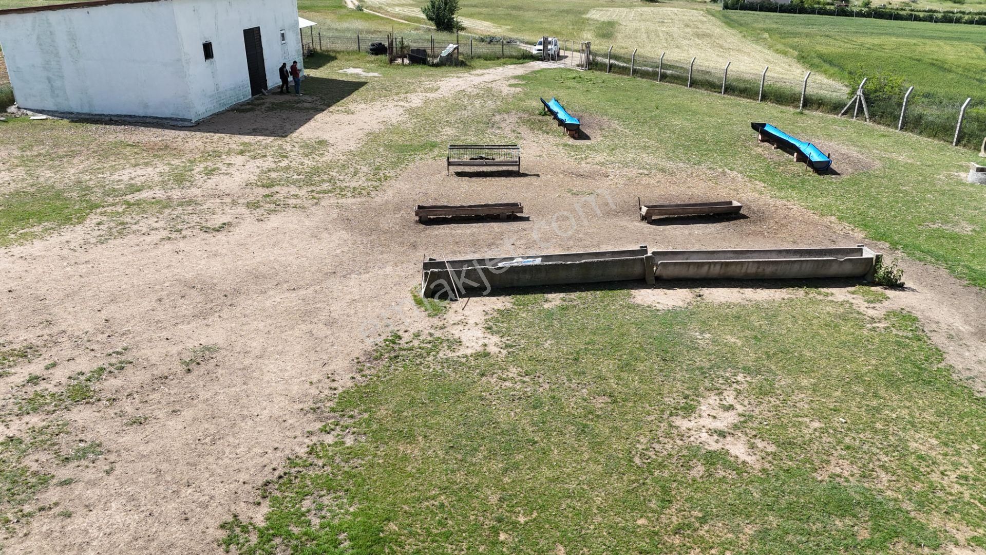 Kırklareli De Hazır Ruhsatlı Çiftlik - Görsel 35