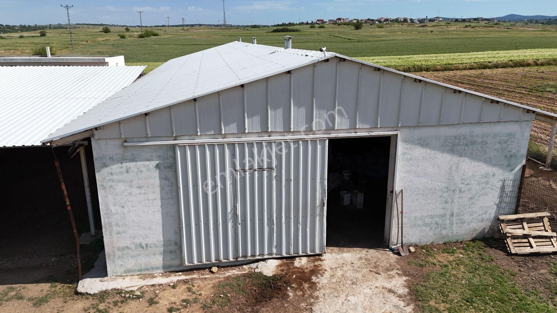 Kırklareli De Hazır Ruhsatlı Çiftlik - Görsel 5