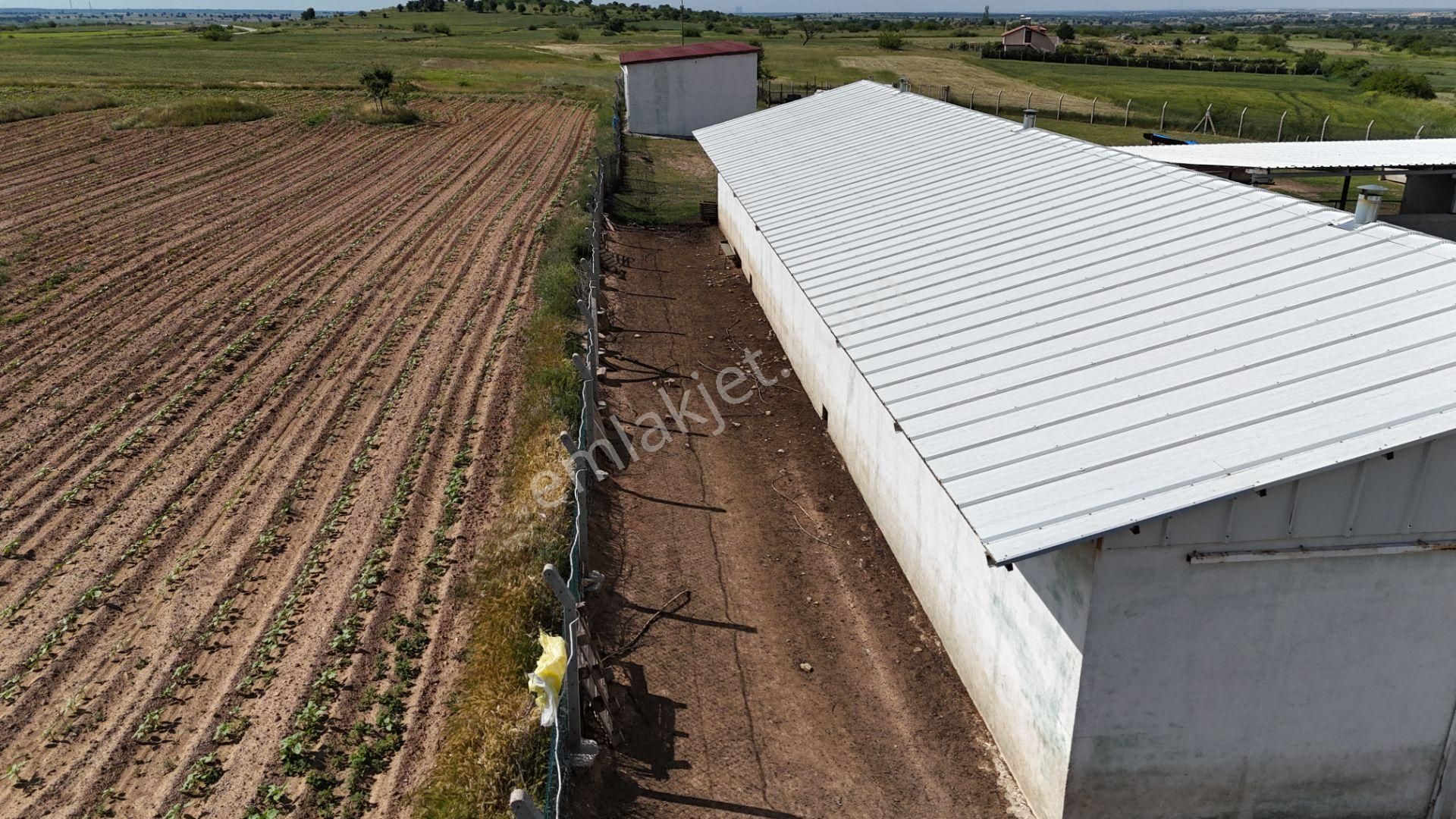 Kırklareli De Hazır Ruhsatlı Çiftlik - Görsel 23