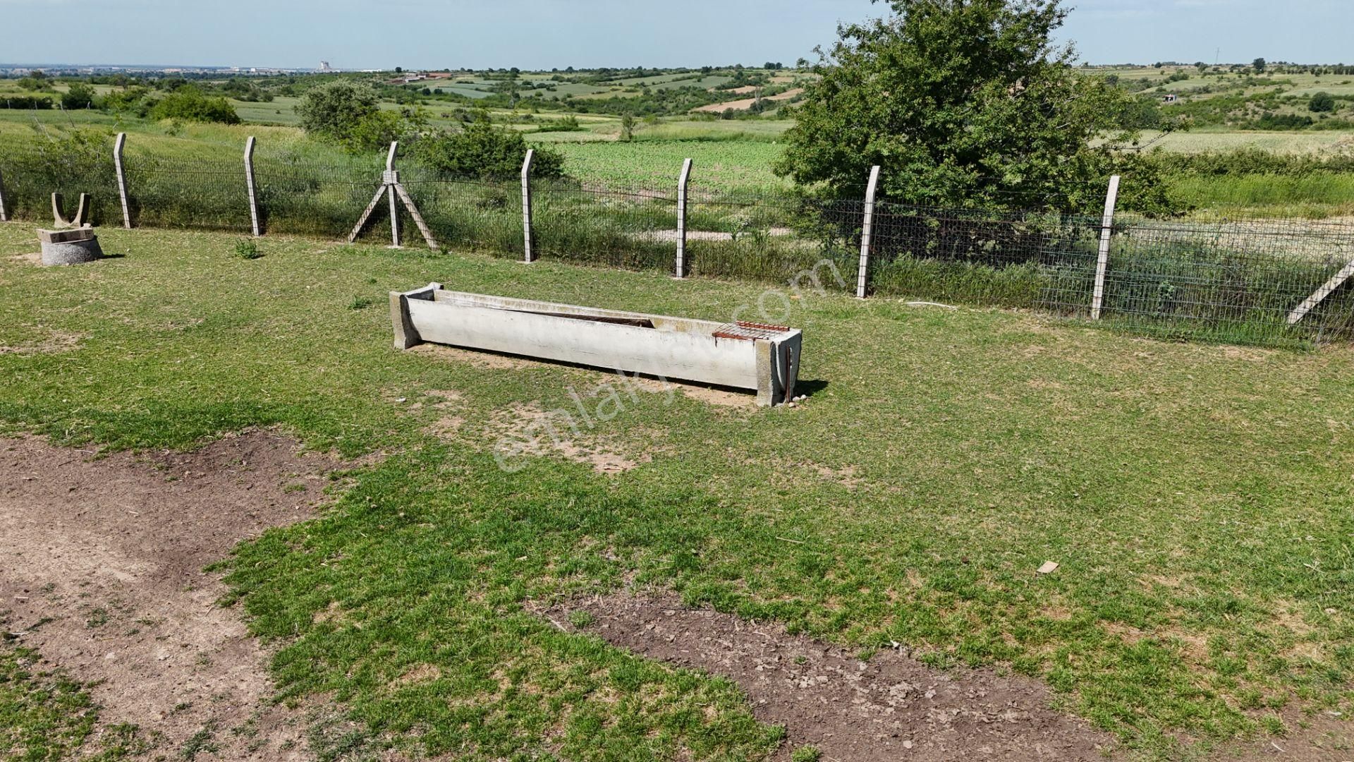 Kırklareli De Hazır Ruhsatlı Çiftlik - Görsel 30