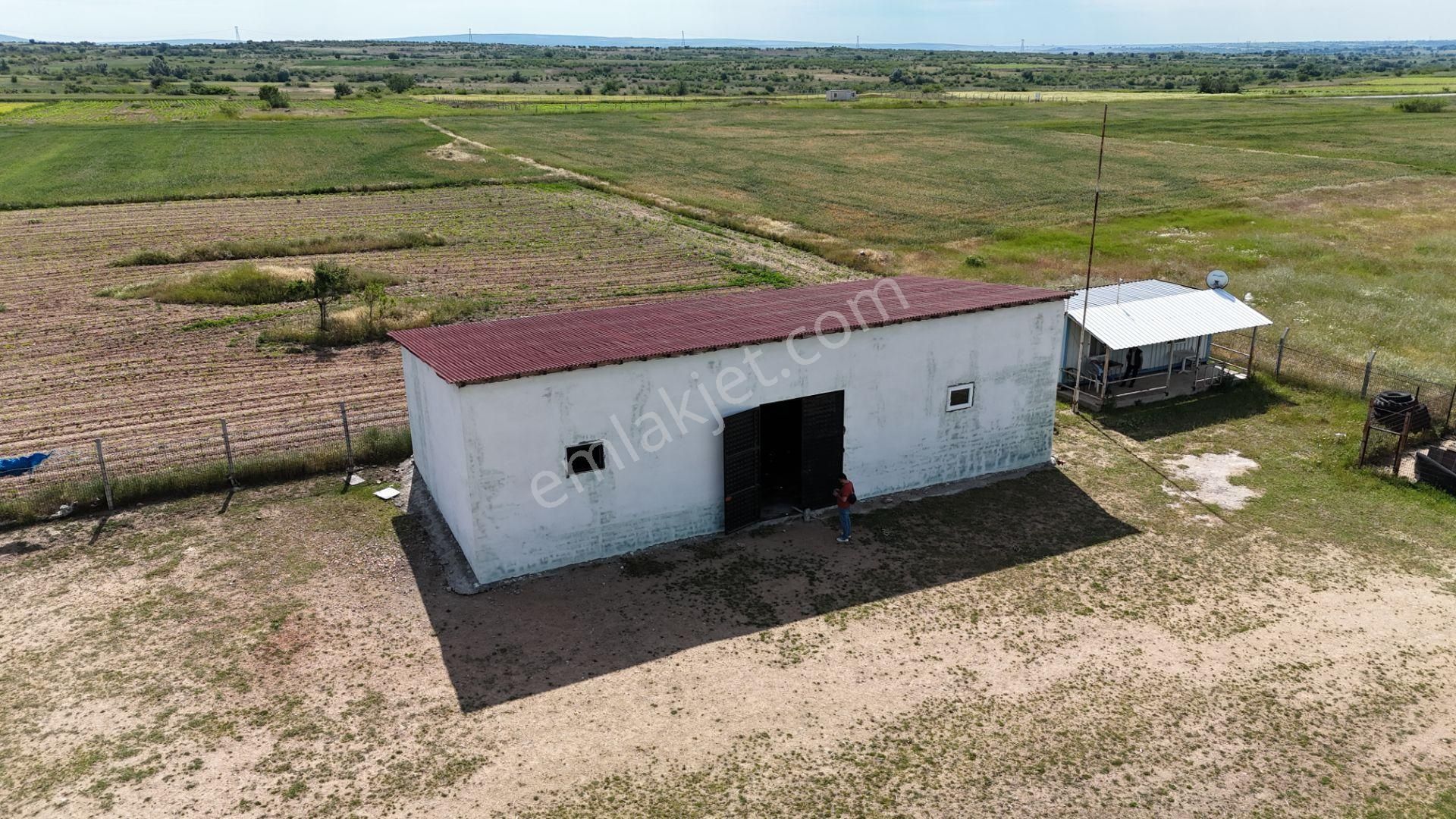 Kırklareli De Hazır Ruhsatlı Çiftlik - Görsel 19