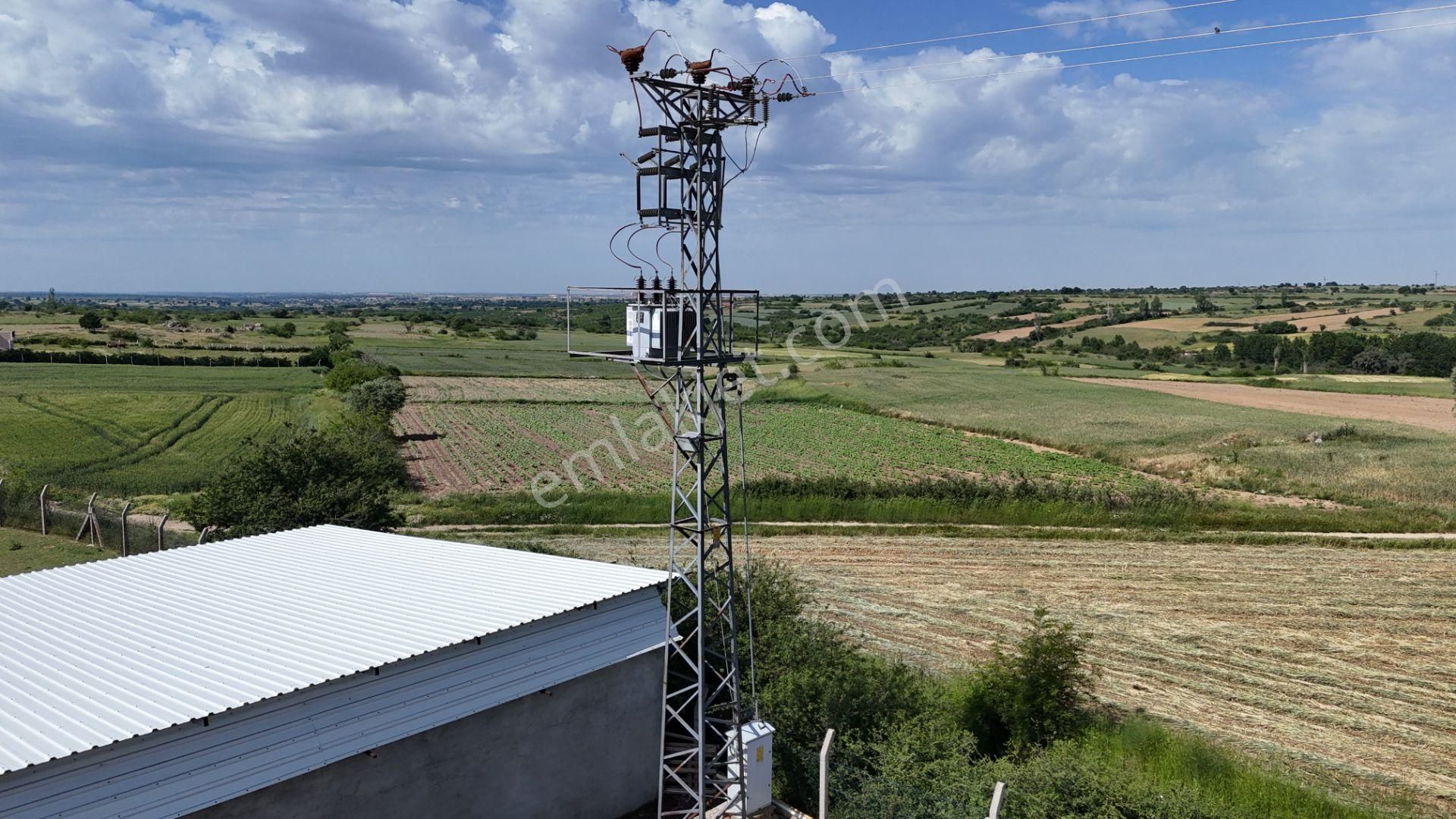 Kırklareli De Hazır Ruhsatlı Çiftlik - Görsel 3