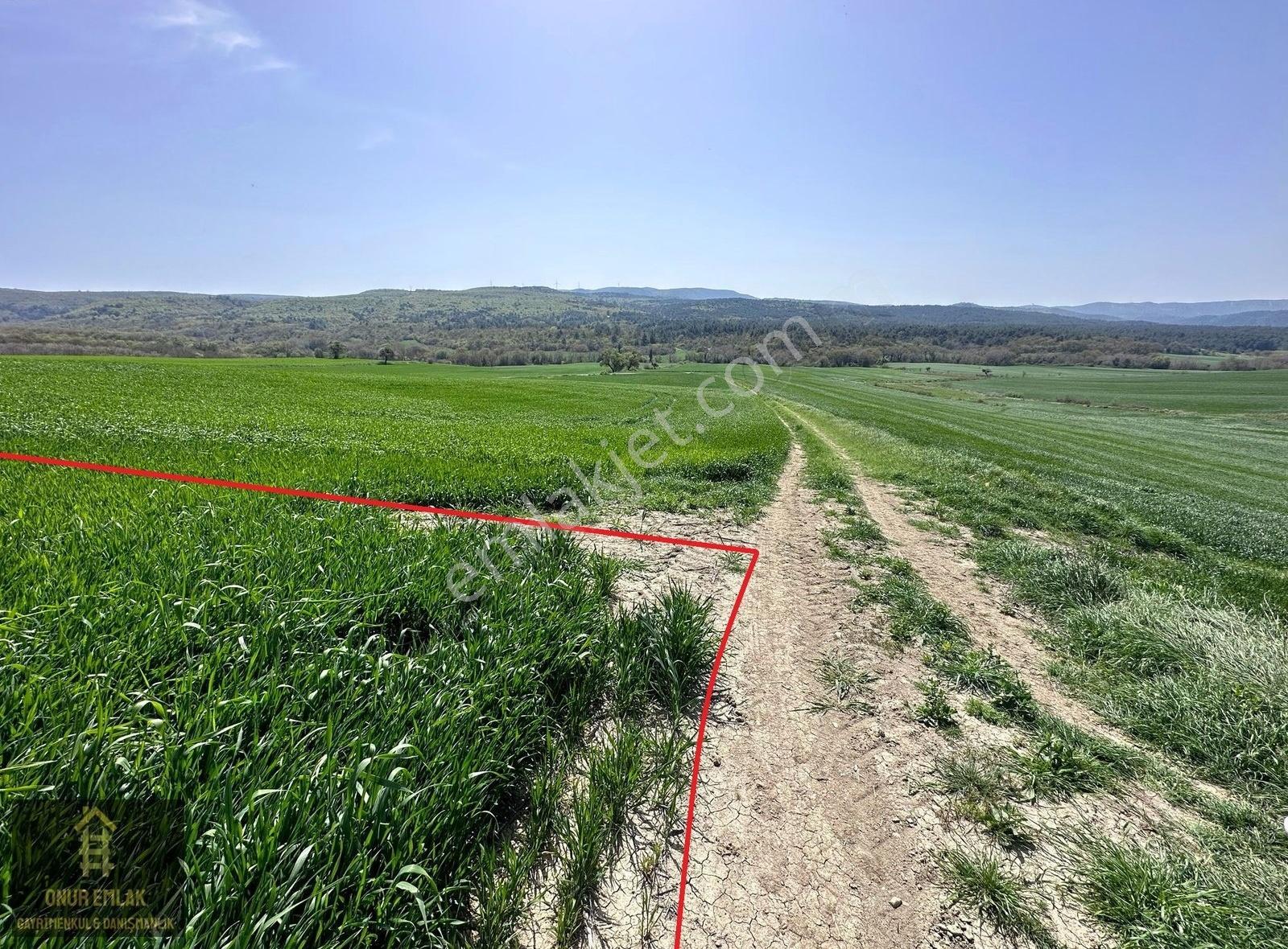 Malkara Yenidibek'te Manzaralı Havadar Satılık Tarla 4268m2 - Görsel 12