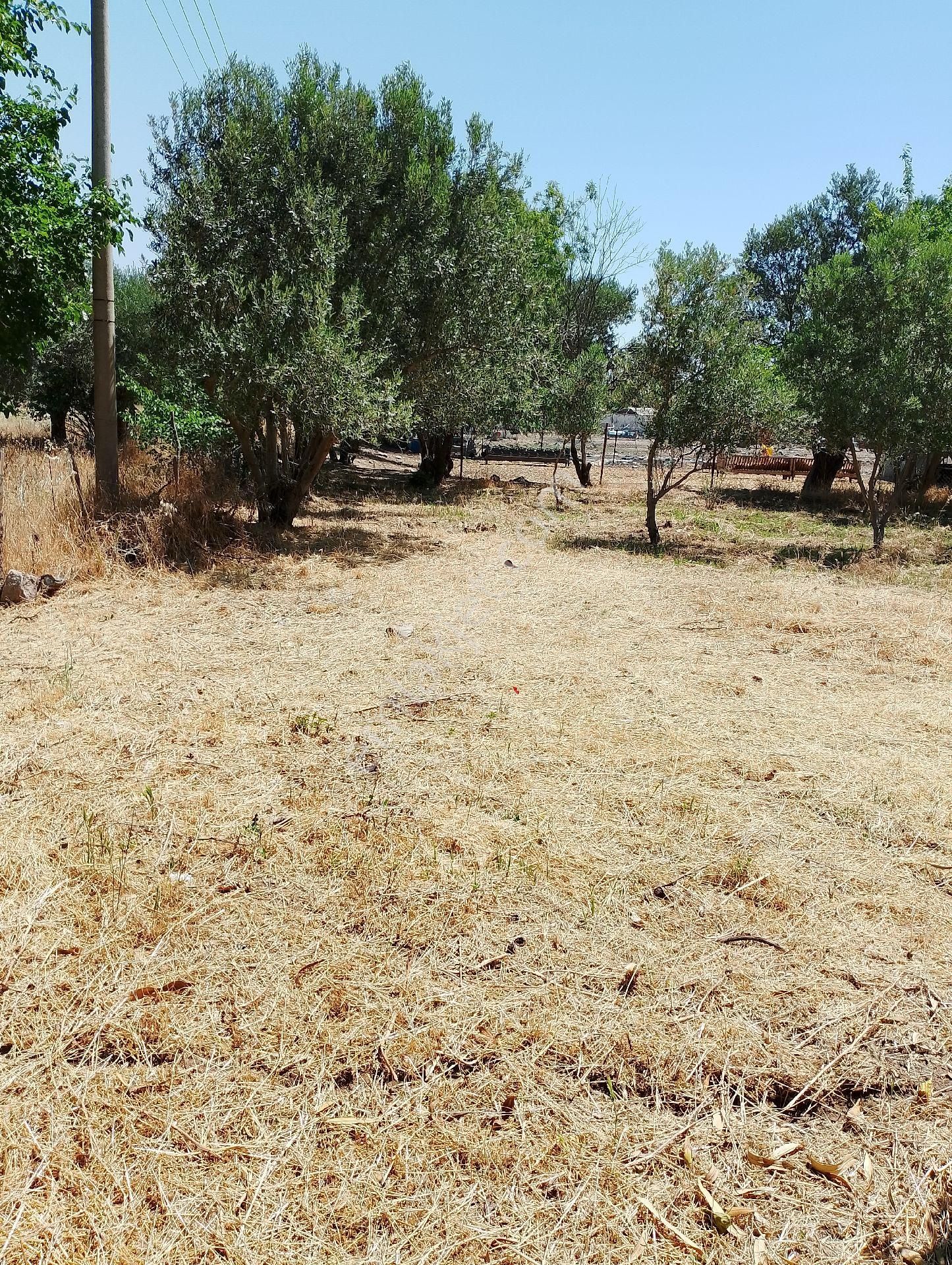 Bergama Bağlar Semtinde Satılık Bağ Evi - Görsel 6