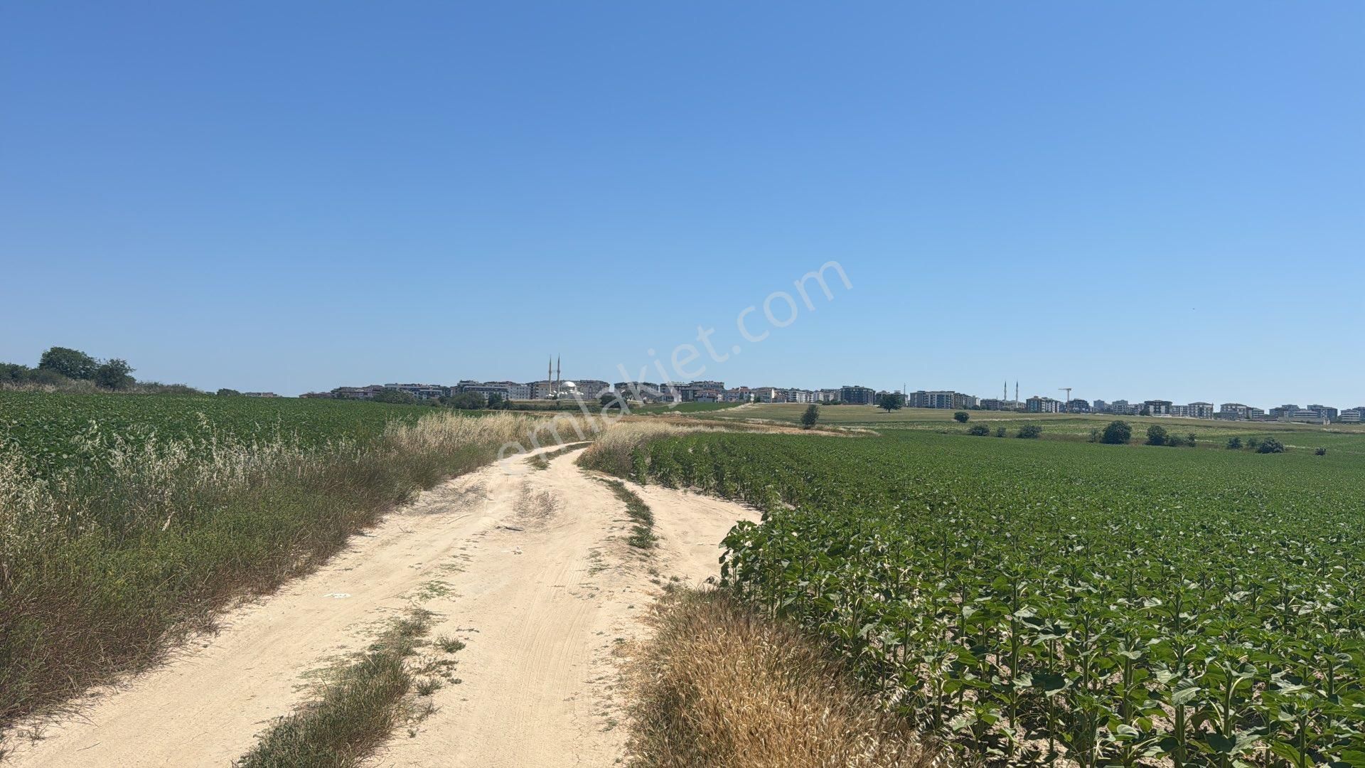 Tekirdağ Çerkezköy İstasyon Satılık 950m2arsa
