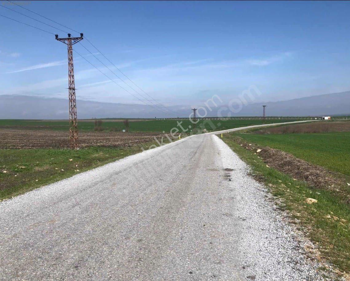 Babaeski Taşköprü Satılık Çaplı Arsa Acil Satılık
