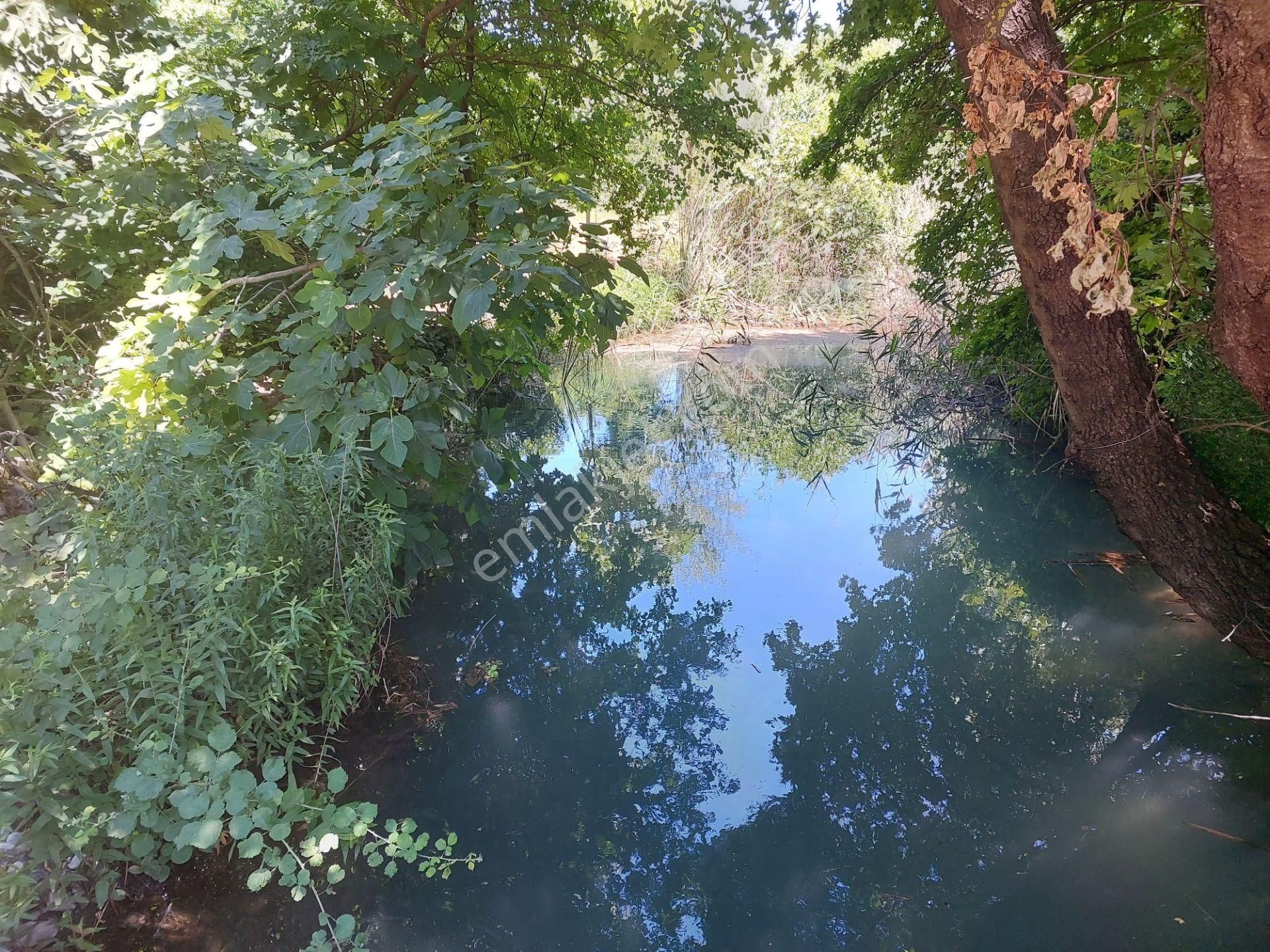Muğla Marmarlıda 7.750 M2 İmar Planı İçinde Yatırıma Uygun Kelepir Arsa Satılık