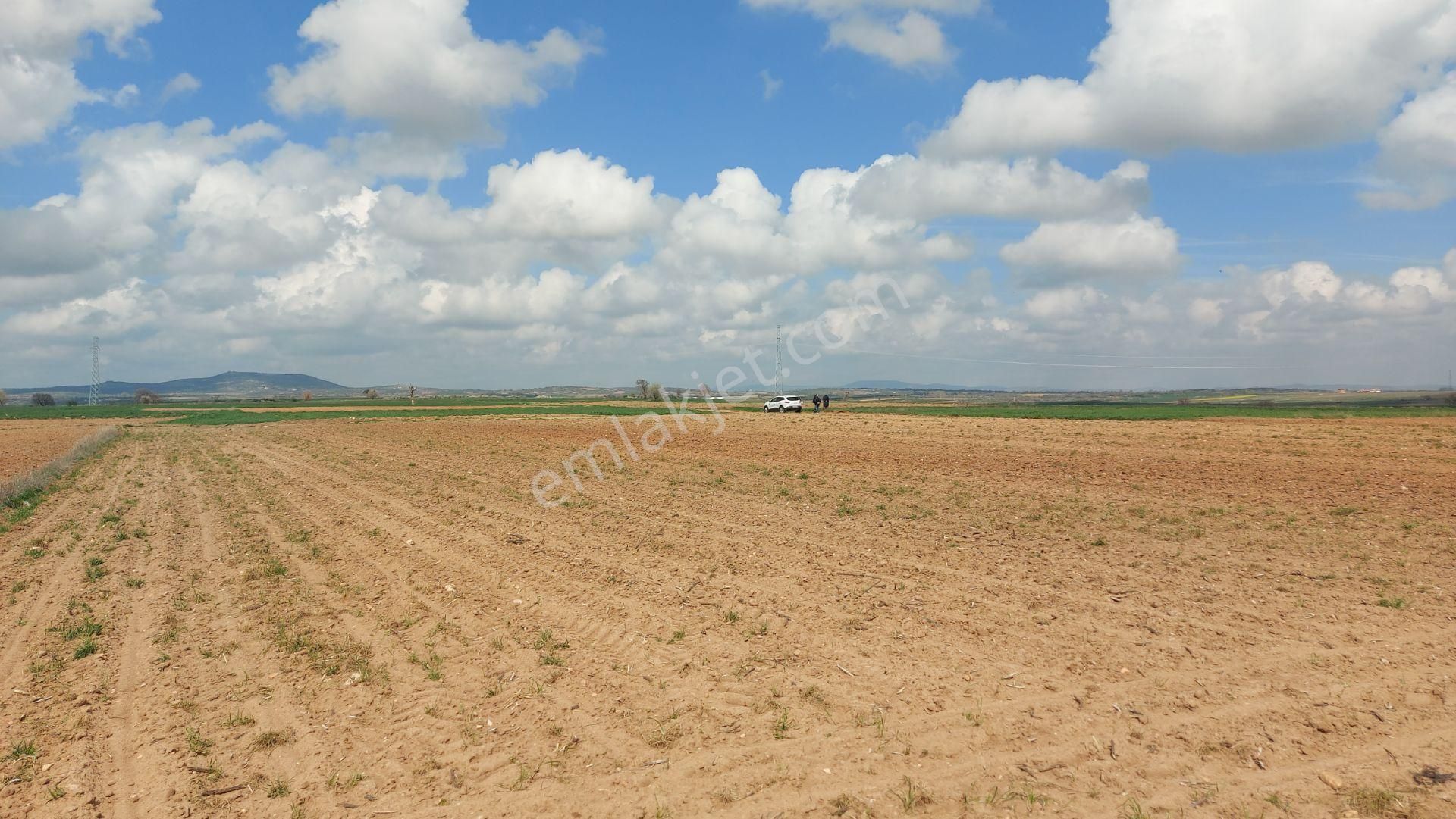 Bunu Kaçırma 2 Yola Cepheli Tava Gibi Tektapu Arazi [ 3.636 M2 ]