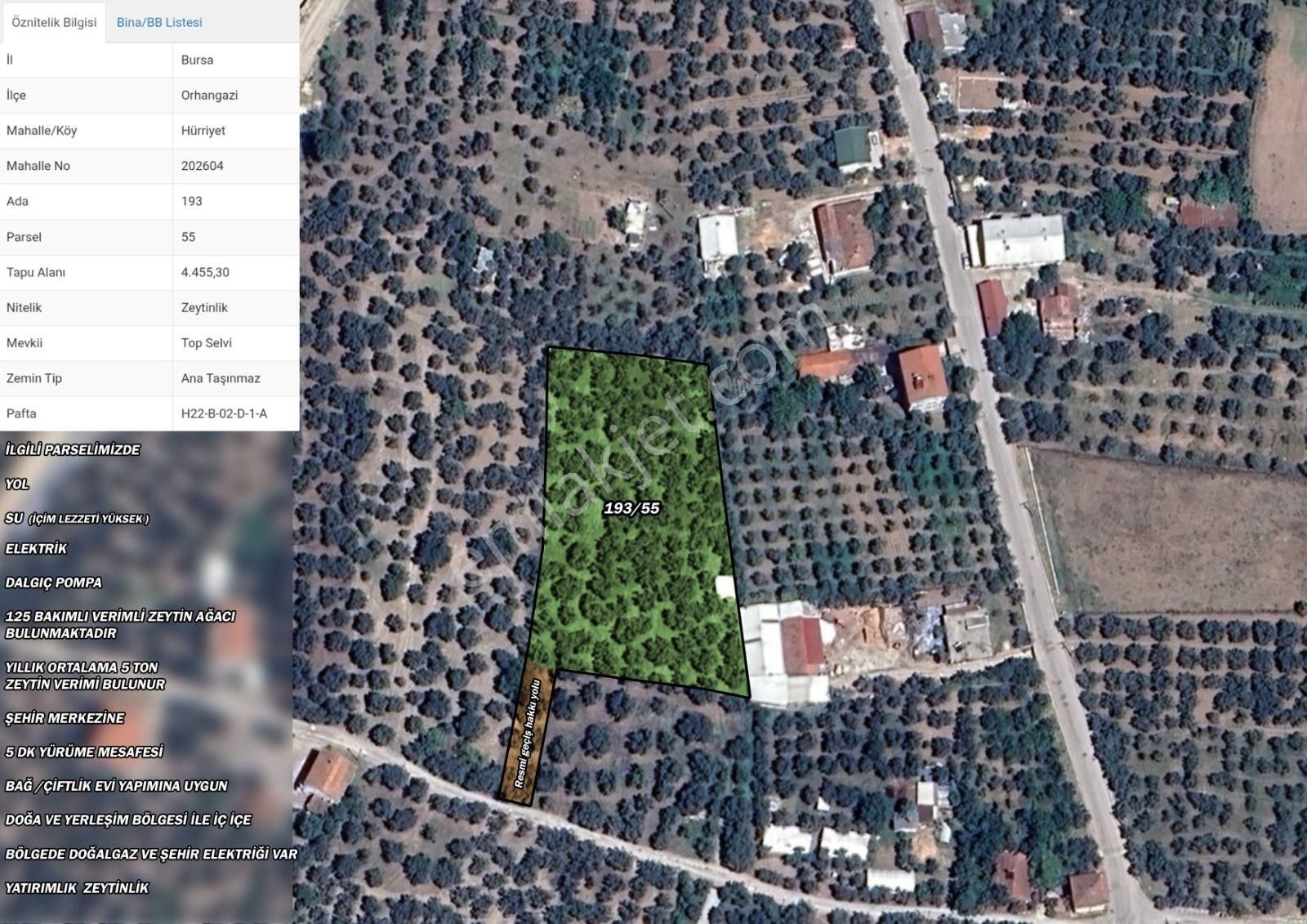 Bursa/ Orhangazi De Süper - Görsel 4