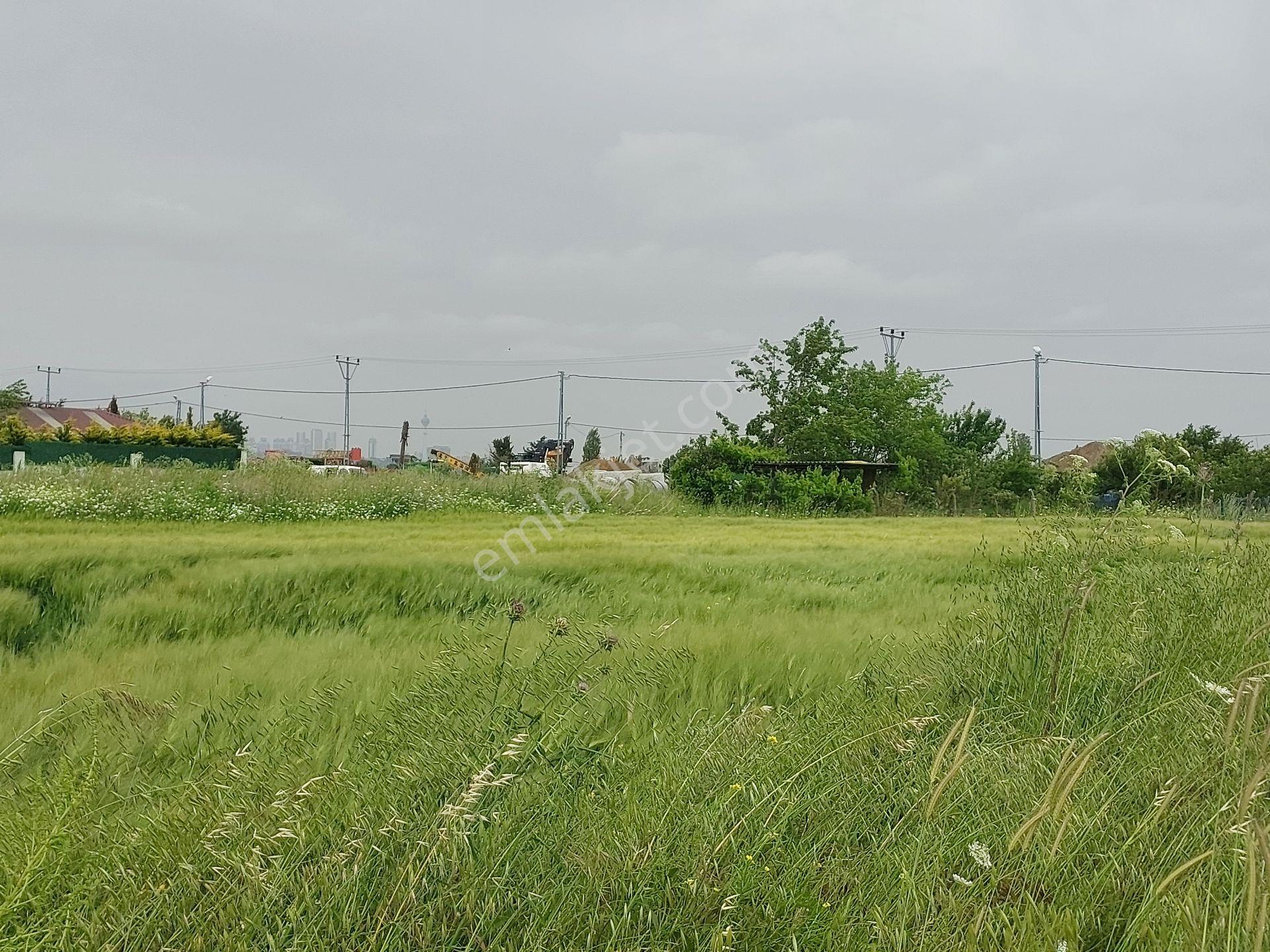 Büyükçekmece Eskice De Tek Tapu 500 M² Tel Çevrili Kapılı Kuyusu Var Meyve Ağaçları Var Yolu Var - Görsel 11