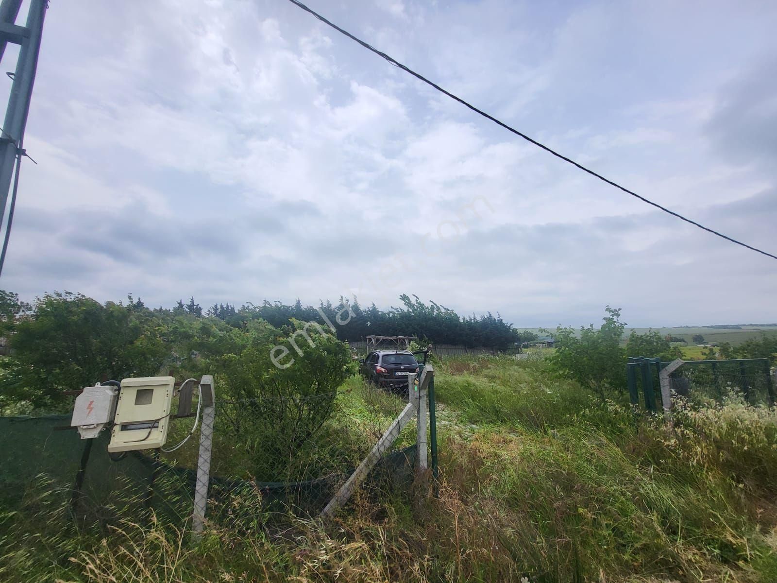 Eskice De Tek Tapu 500 M² Çevrili İçinde Kuyusu Olan Arsa - Görsel 18